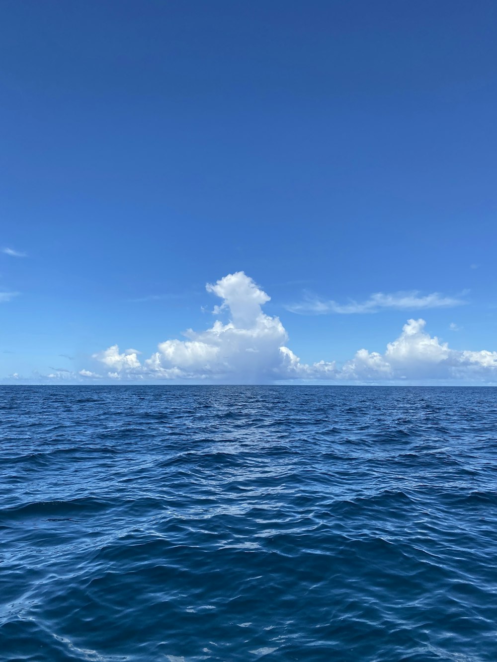 a body of water with a large cloud in the distance
