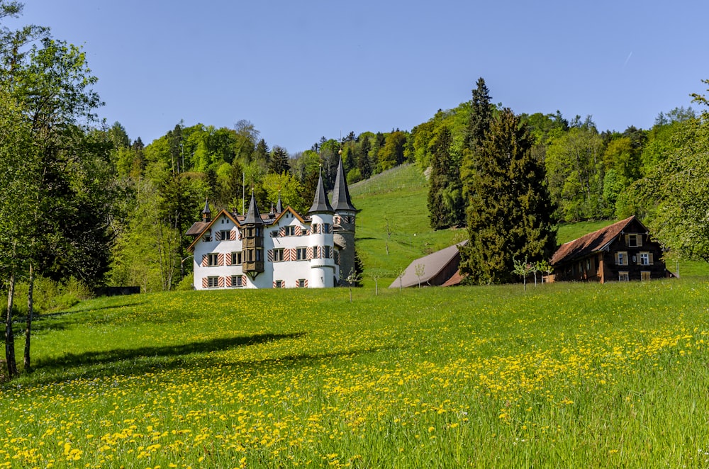 Ein Haus in einem Blumenfeld