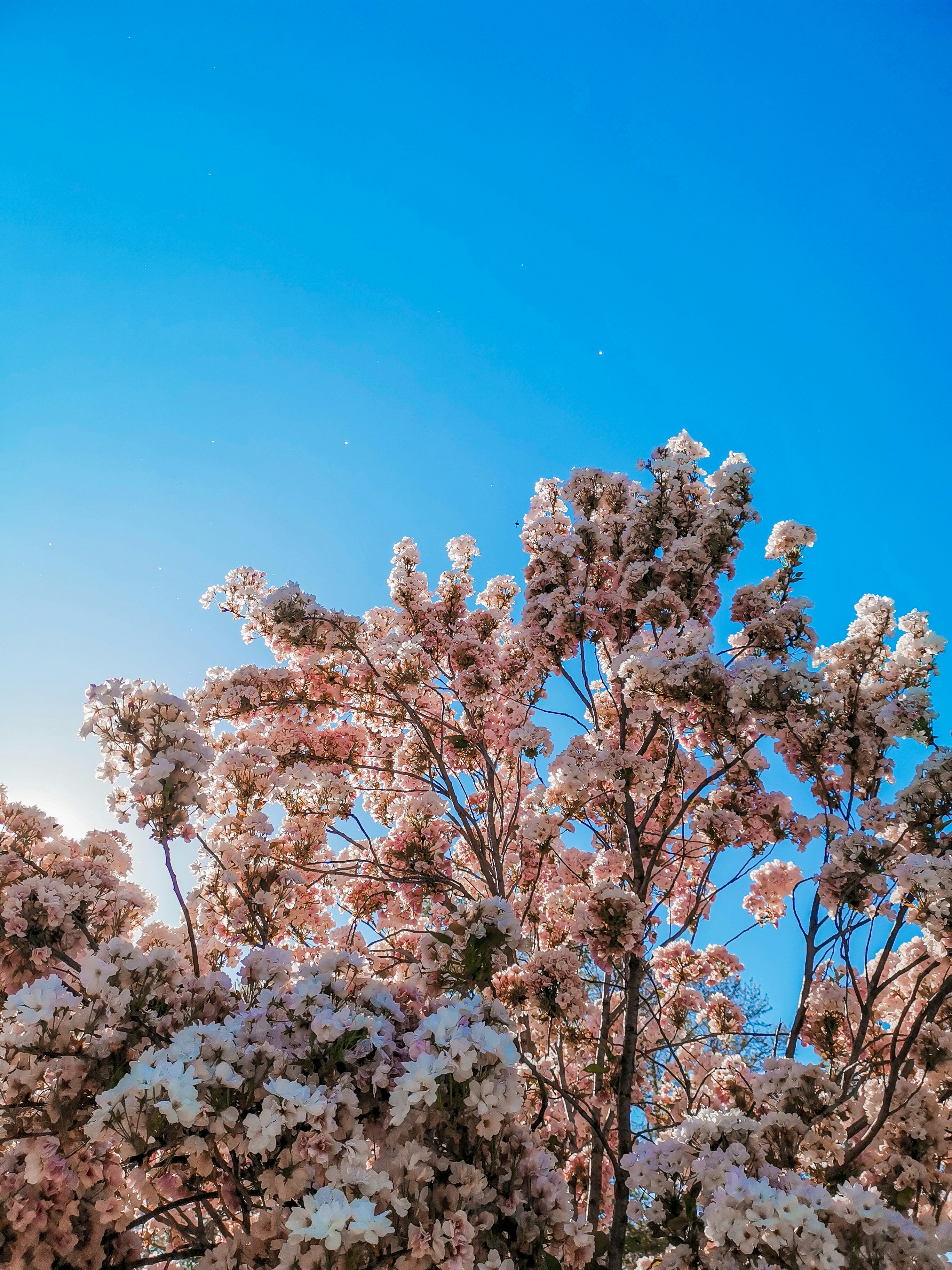 Photo by darijaginger