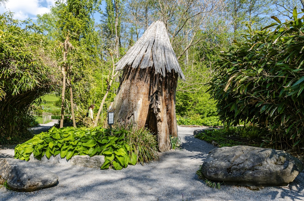 a hut made of sticks