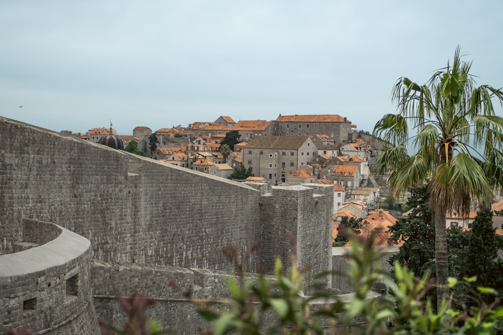 a stone wall with a stone wall and a palm tree and a city