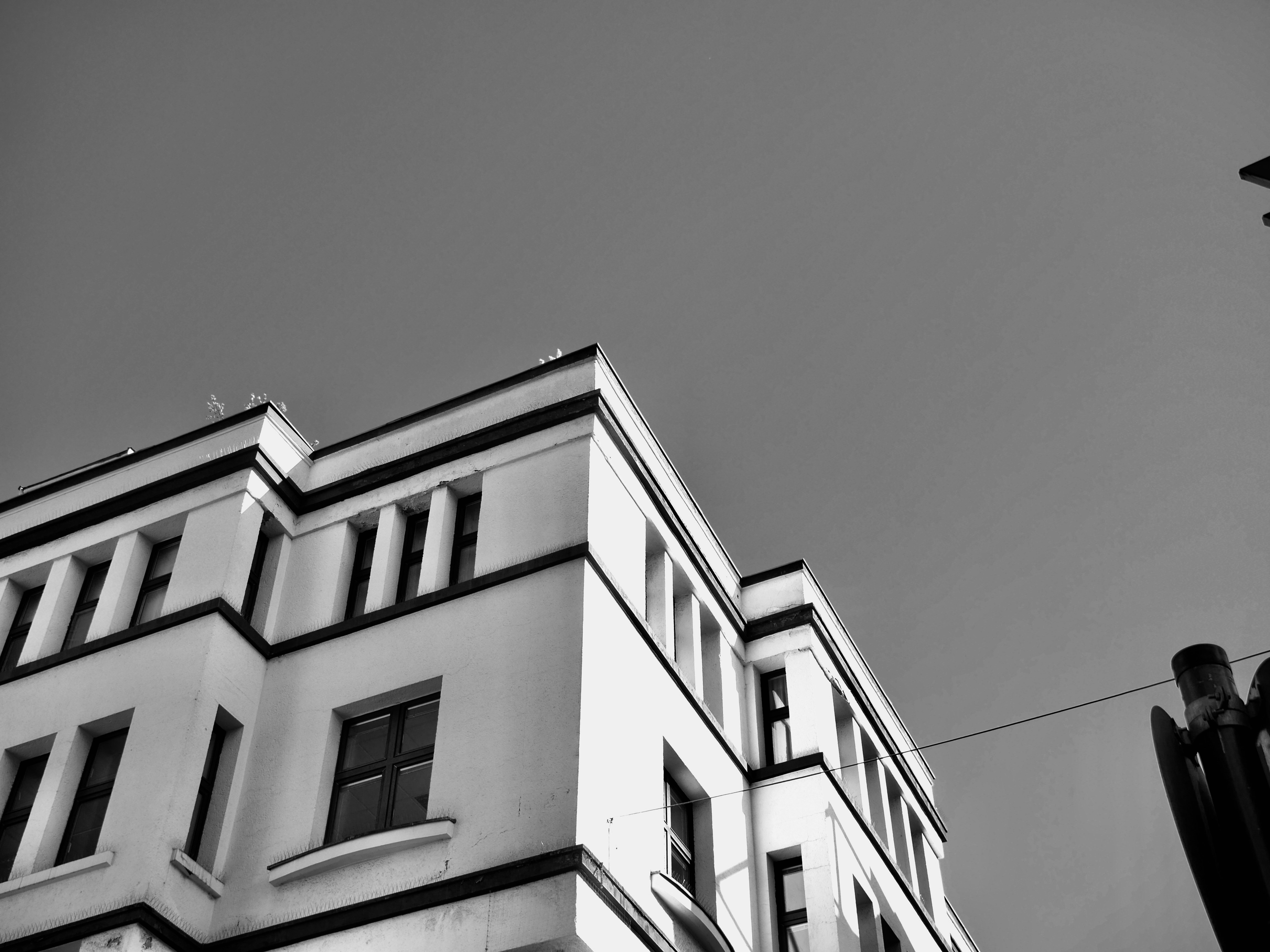 Photo by luis_de_leon