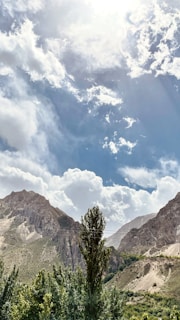 A vibrant mountain landscape with lush greenery and clear skies.