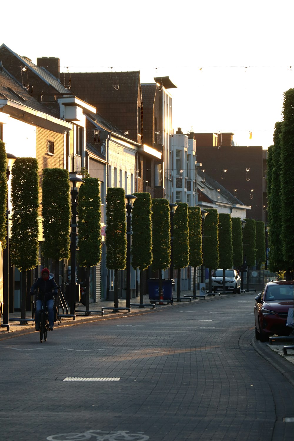 a person riding a bicycle on a street lined with trees
