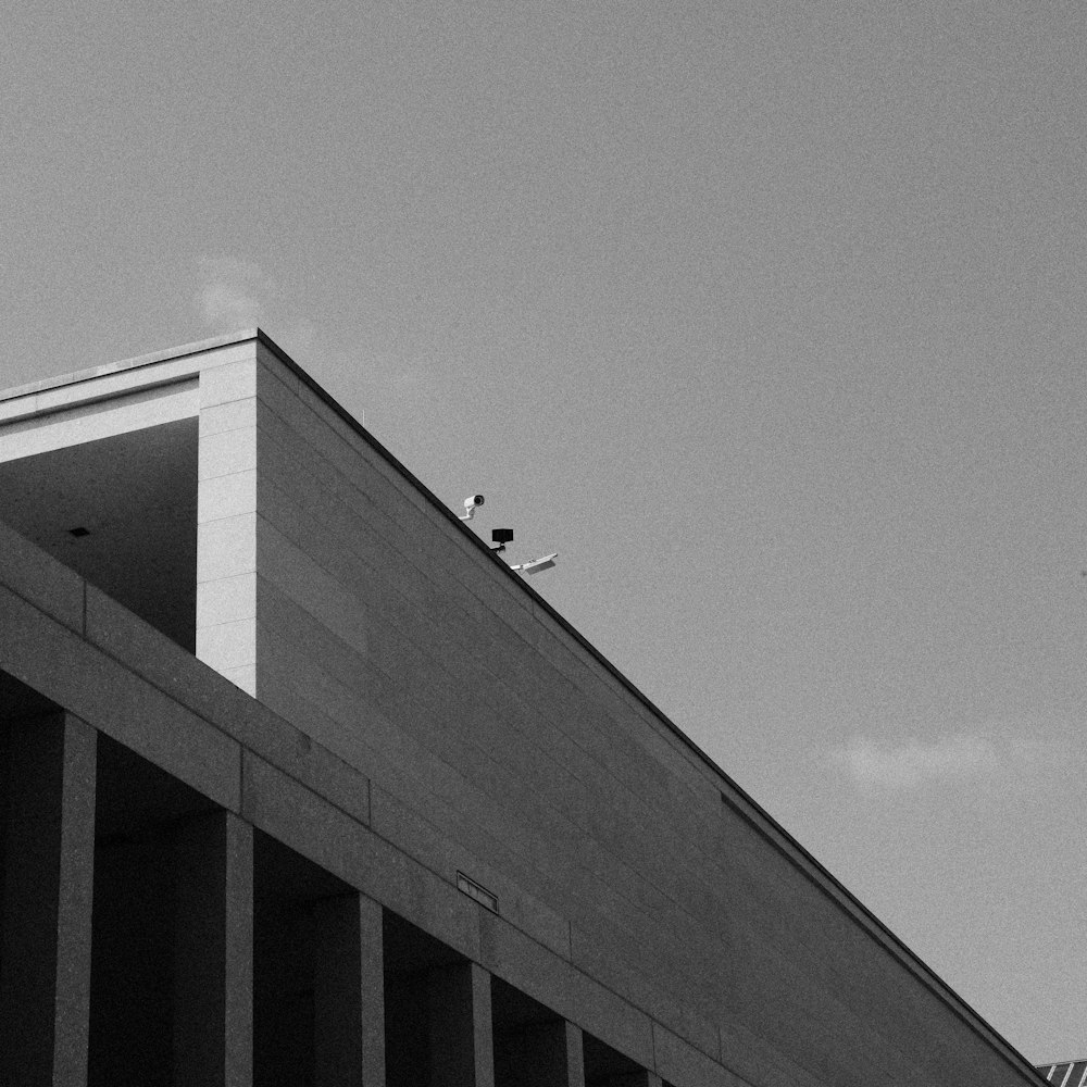 a group of birds on a building