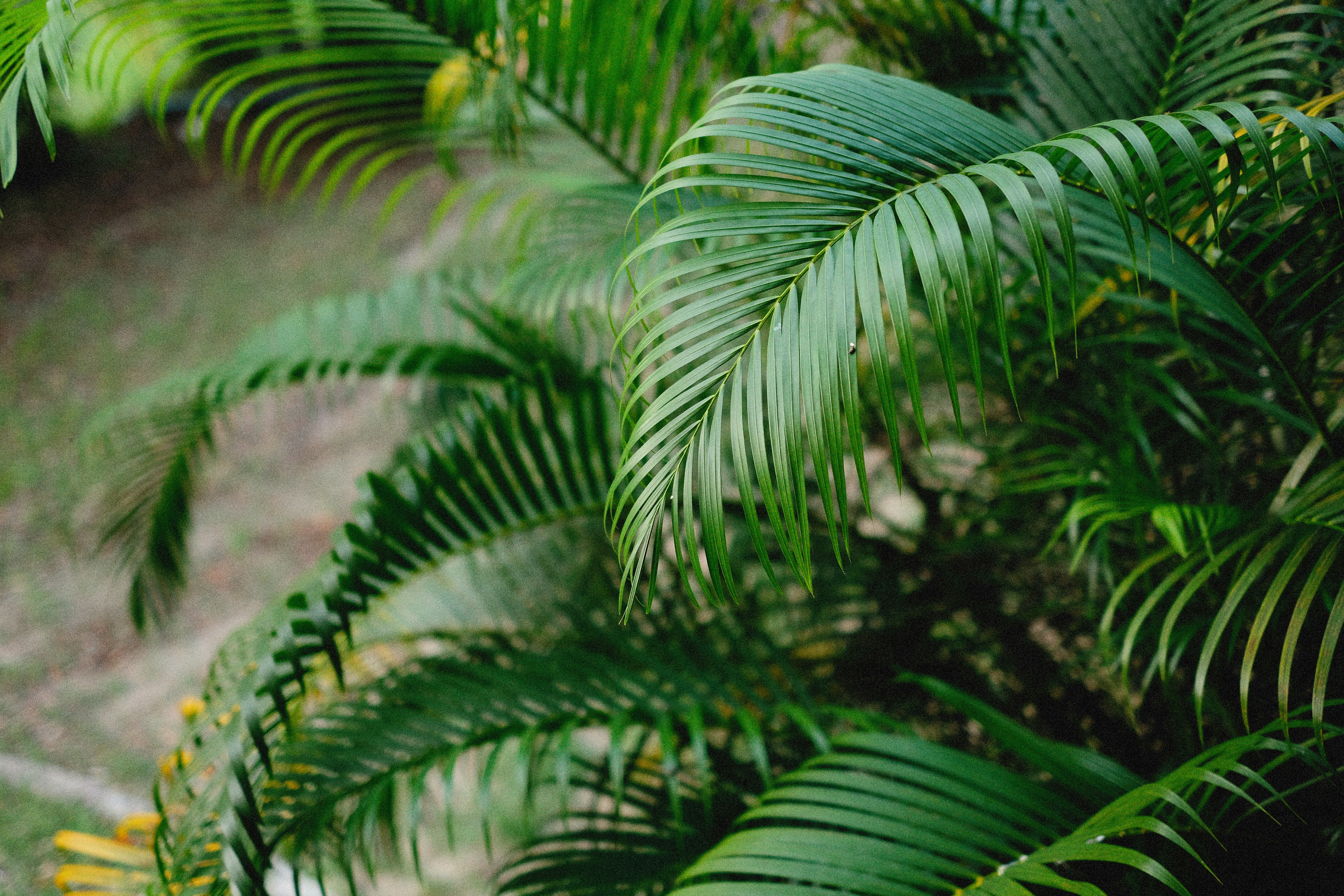 Photo by alexeydemidov