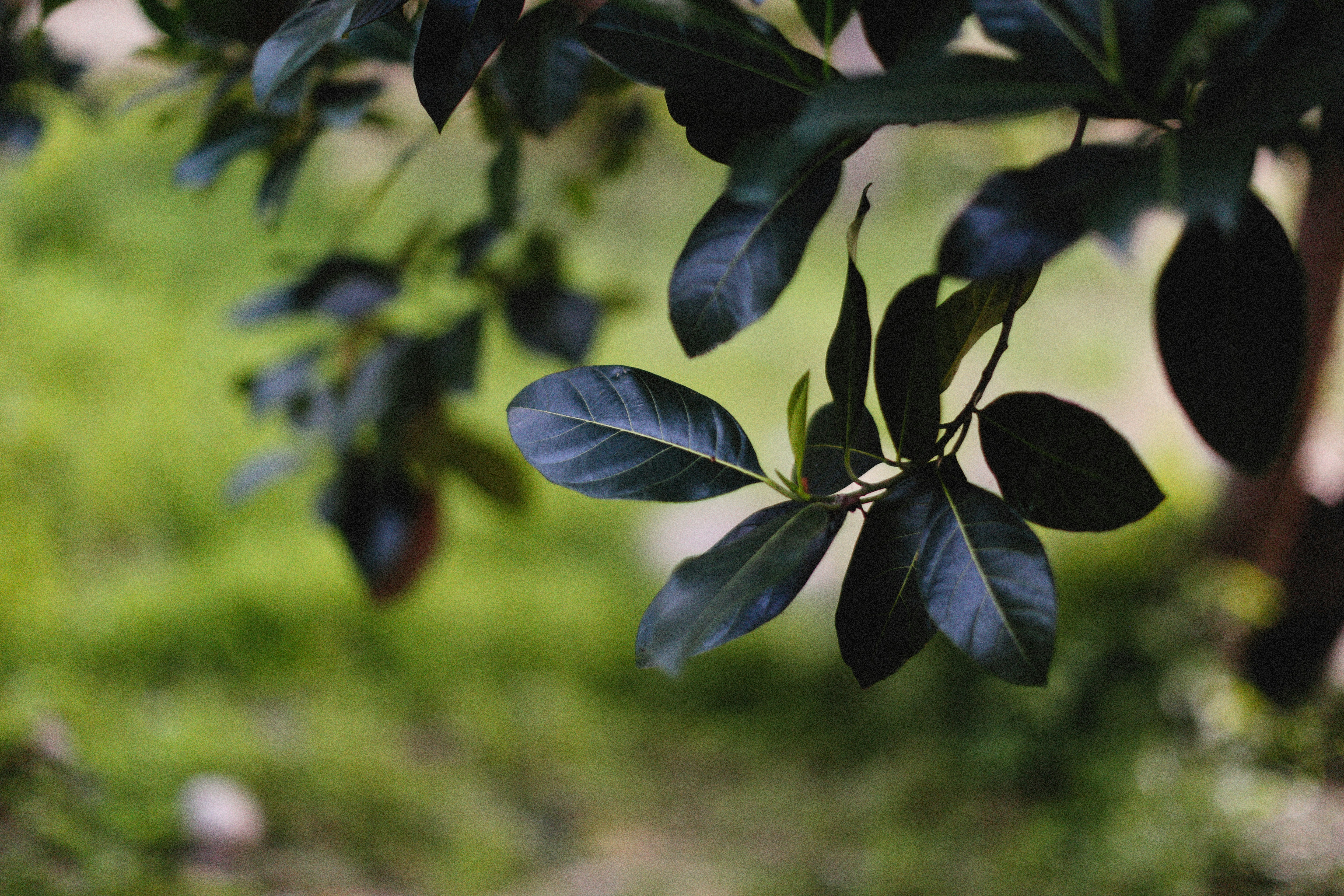 Photo by alexeydemidov