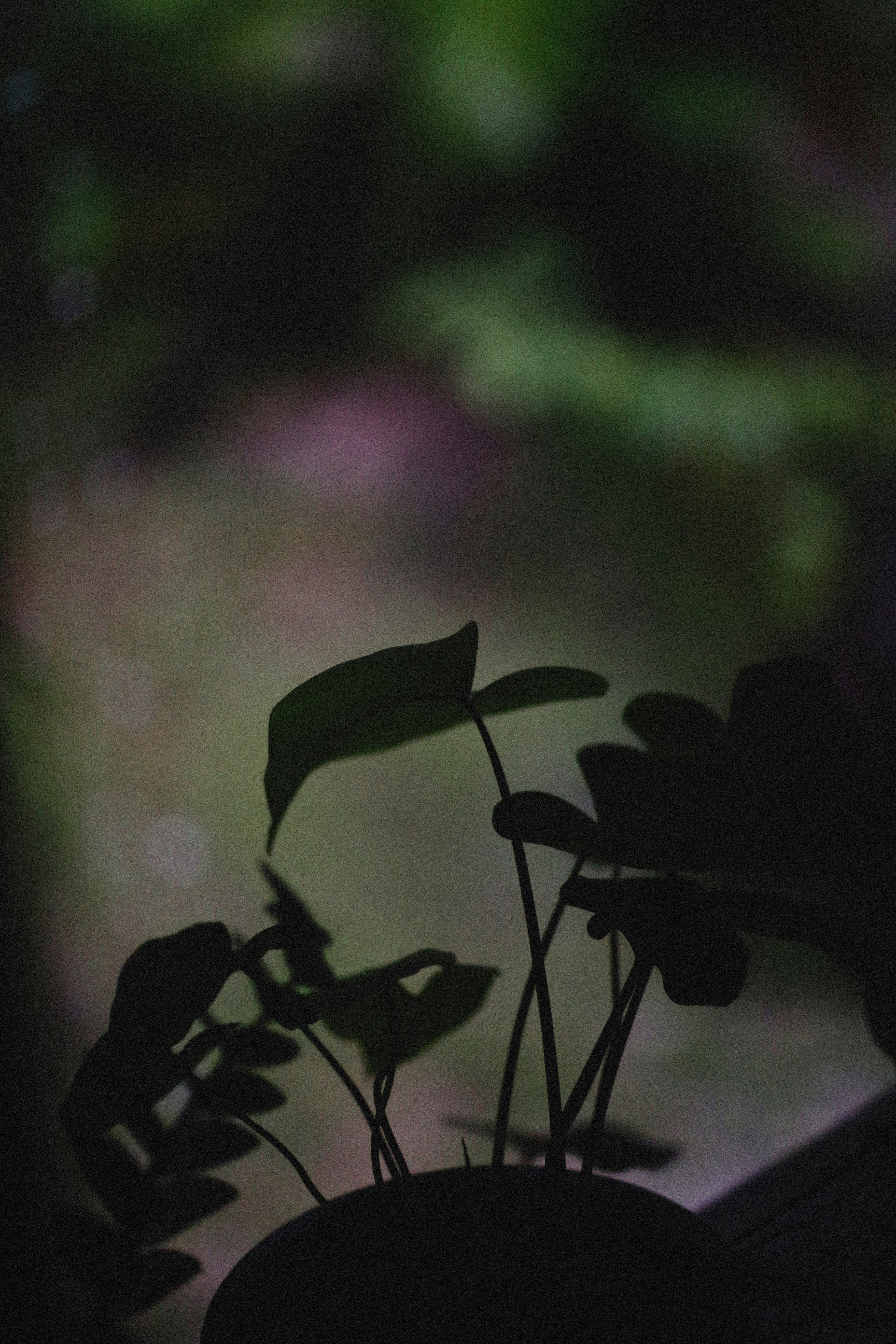 Photo by alexeydemidov