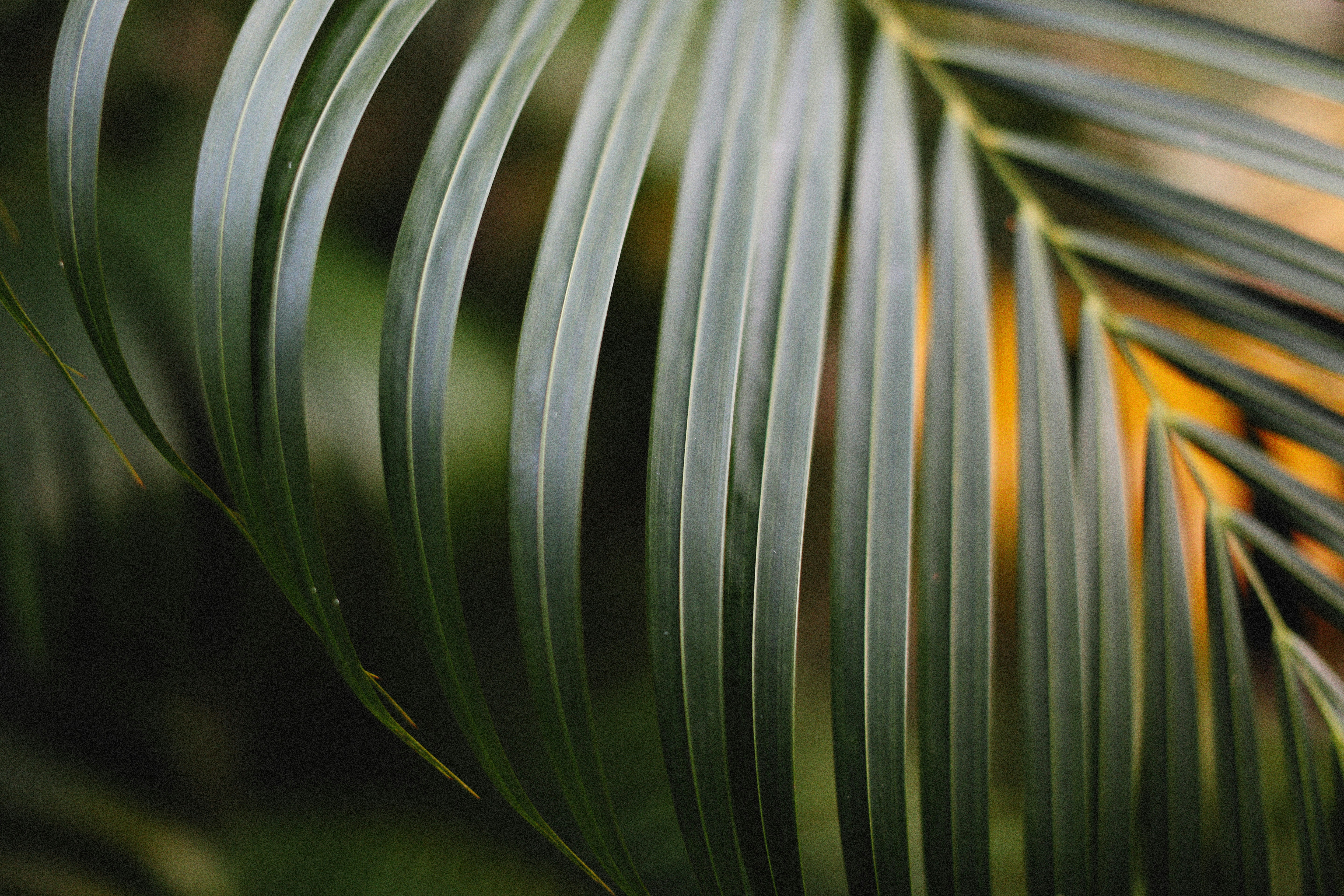 Photo by alexeydemidov