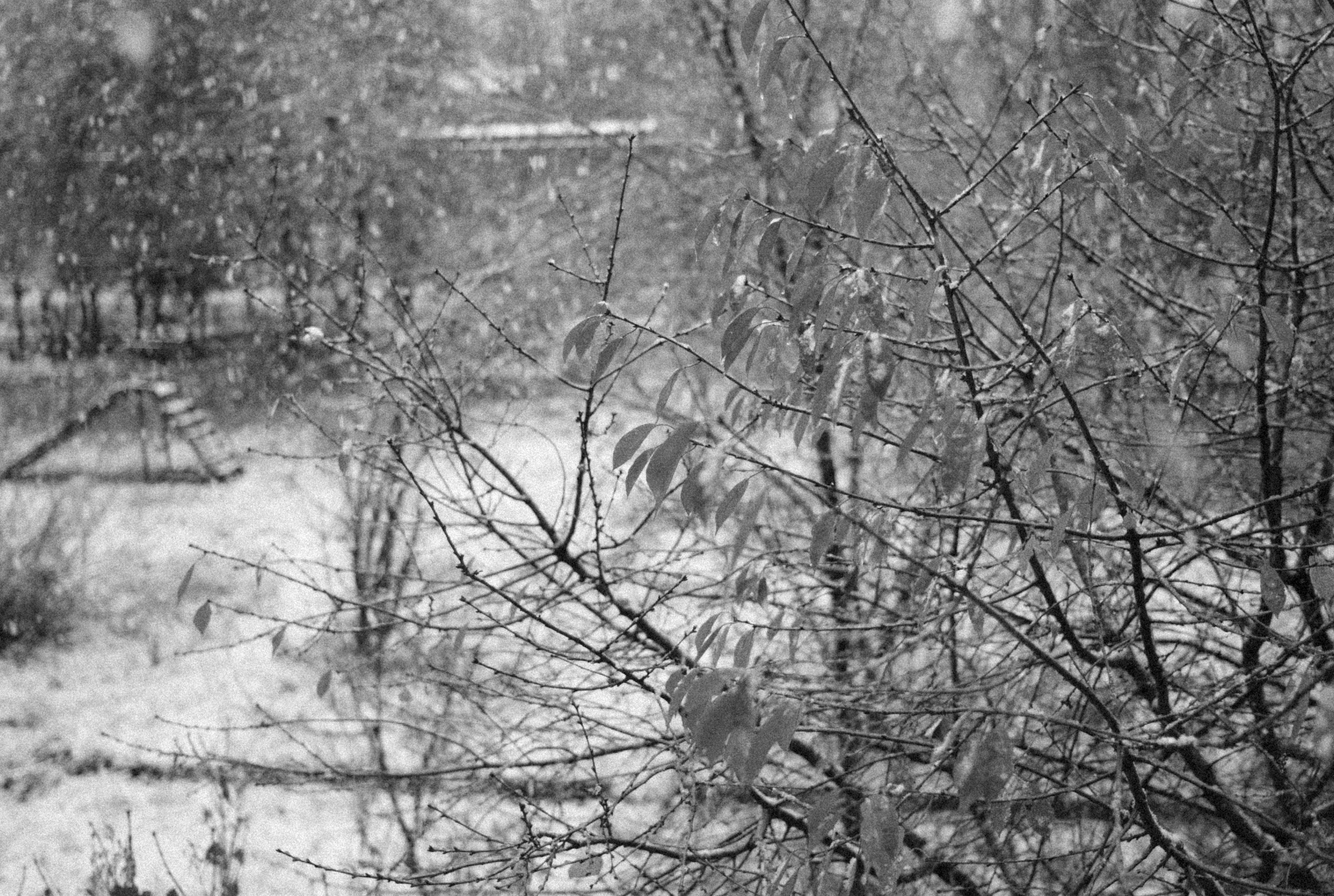 Photo by alexeydemidov