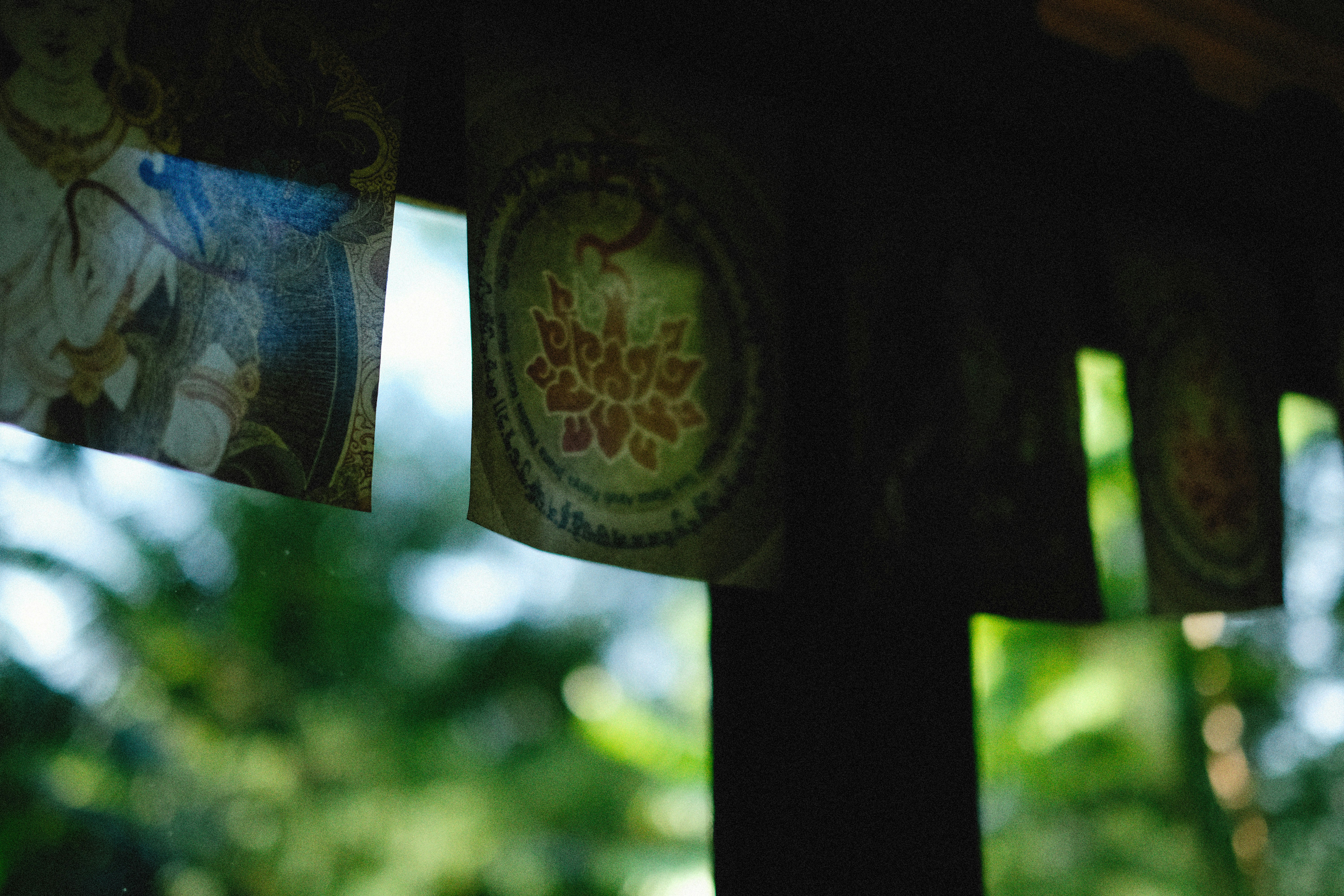 Photo by alexeydemidov