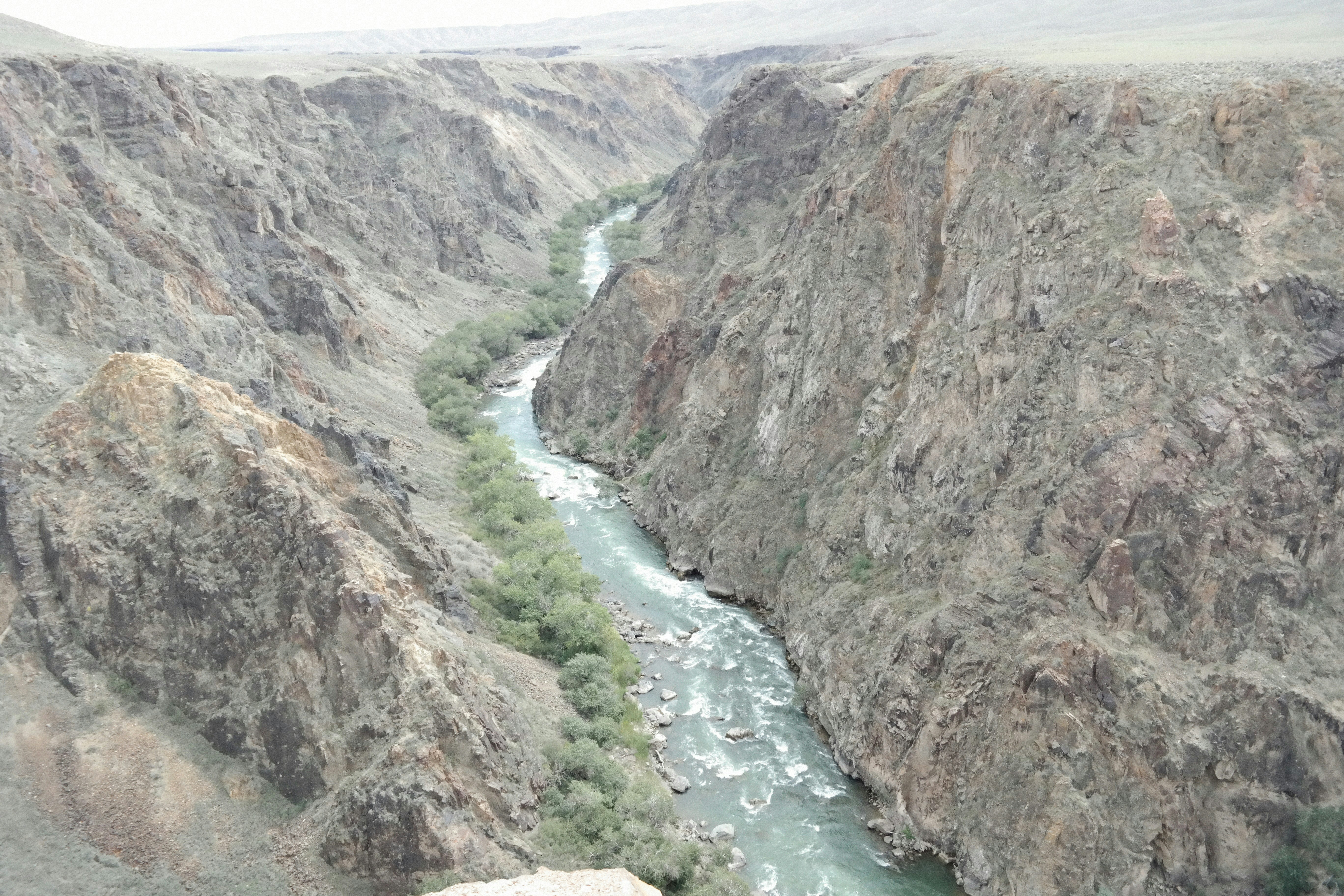 Photo by alexeydemidov