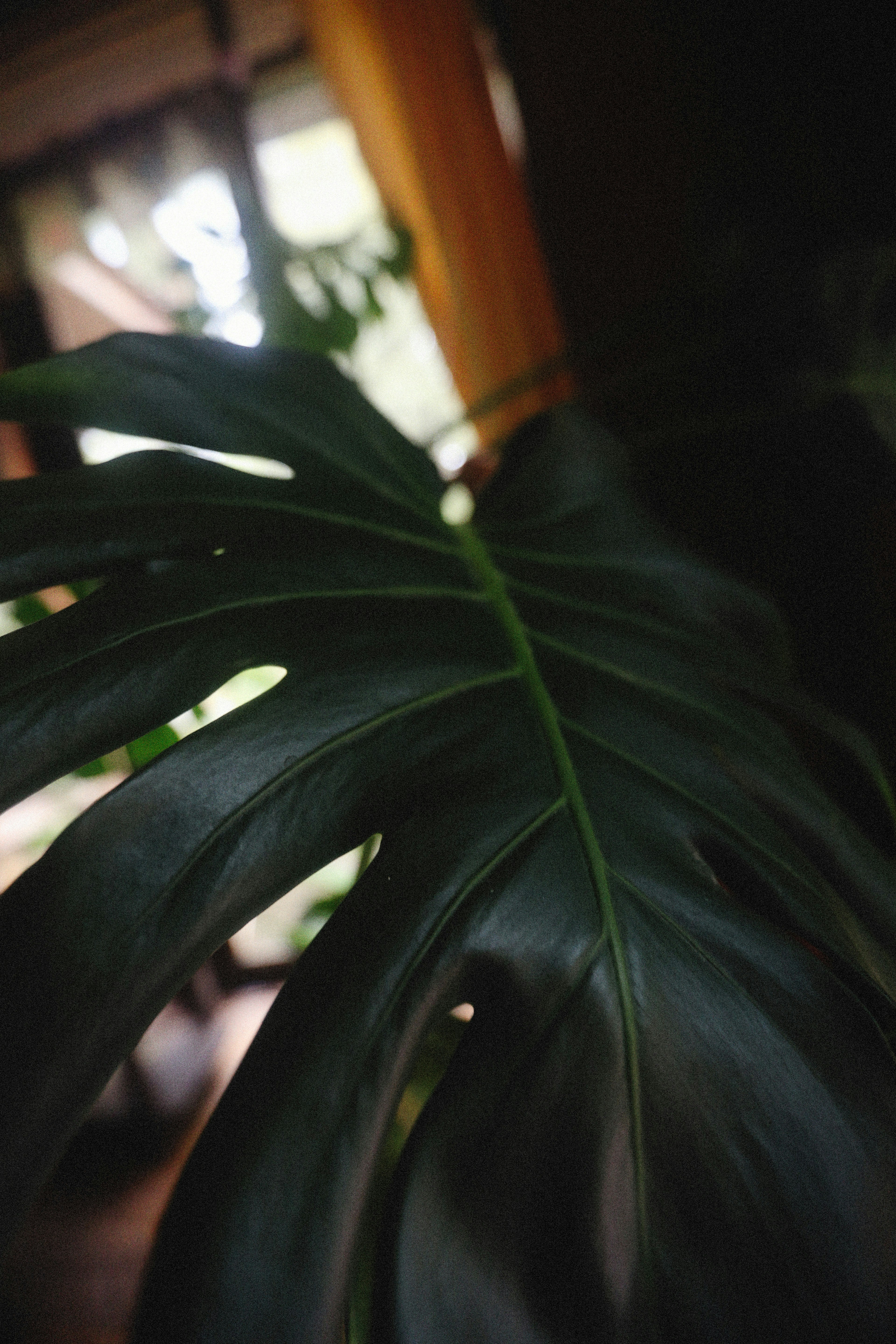 Photo by alexeydemidov