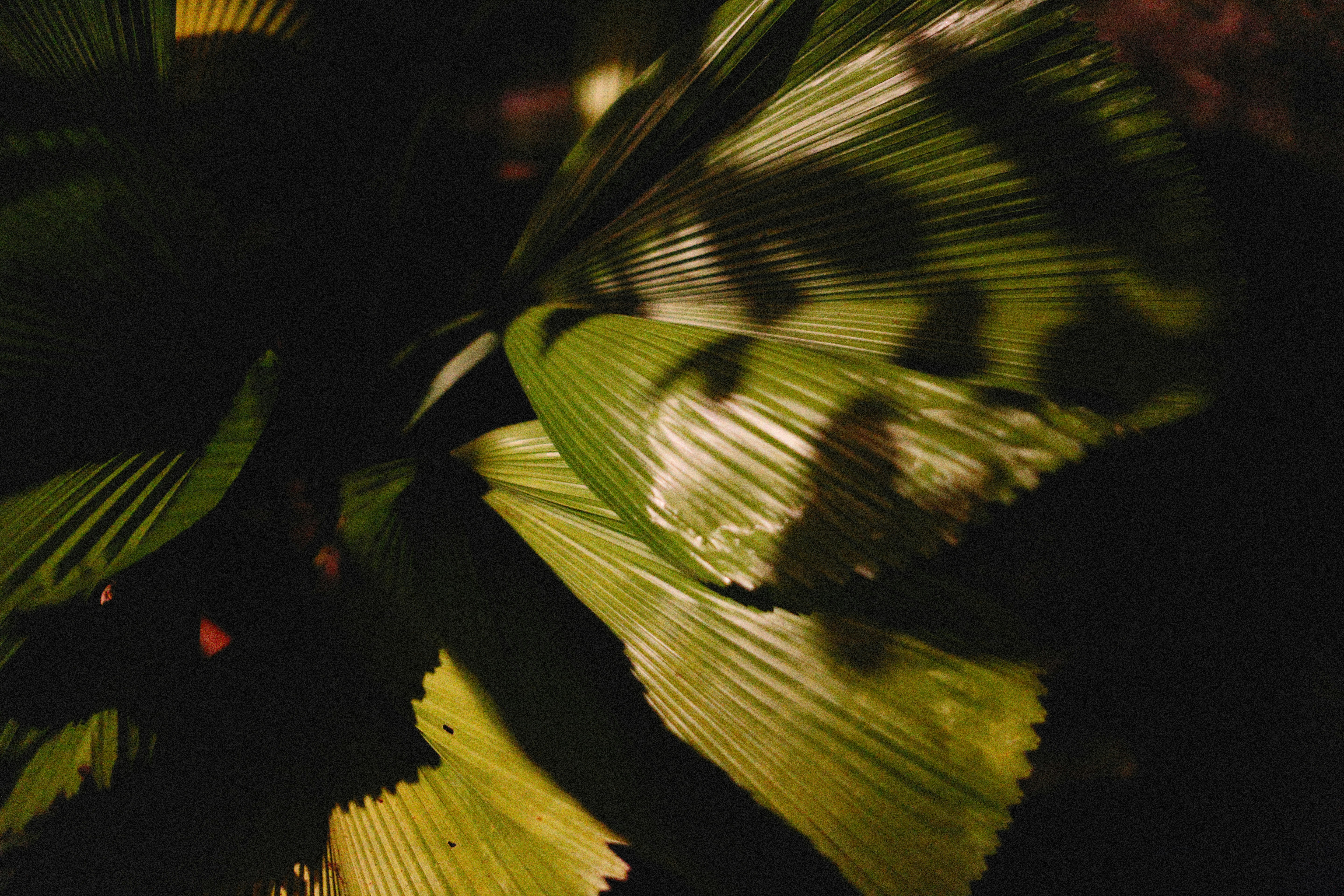 Photo by alexeydemidov