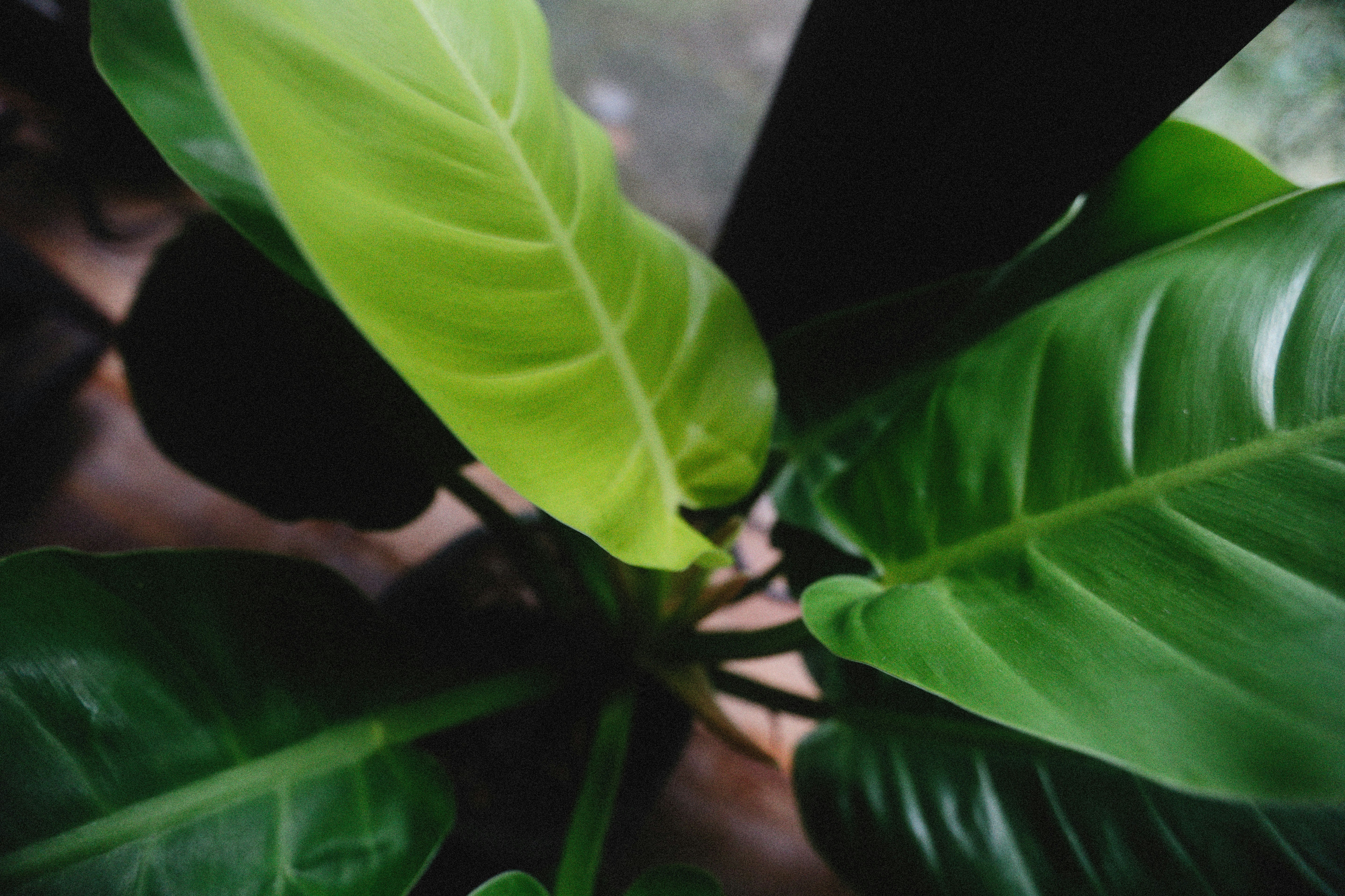 Photo by alexeydemidov