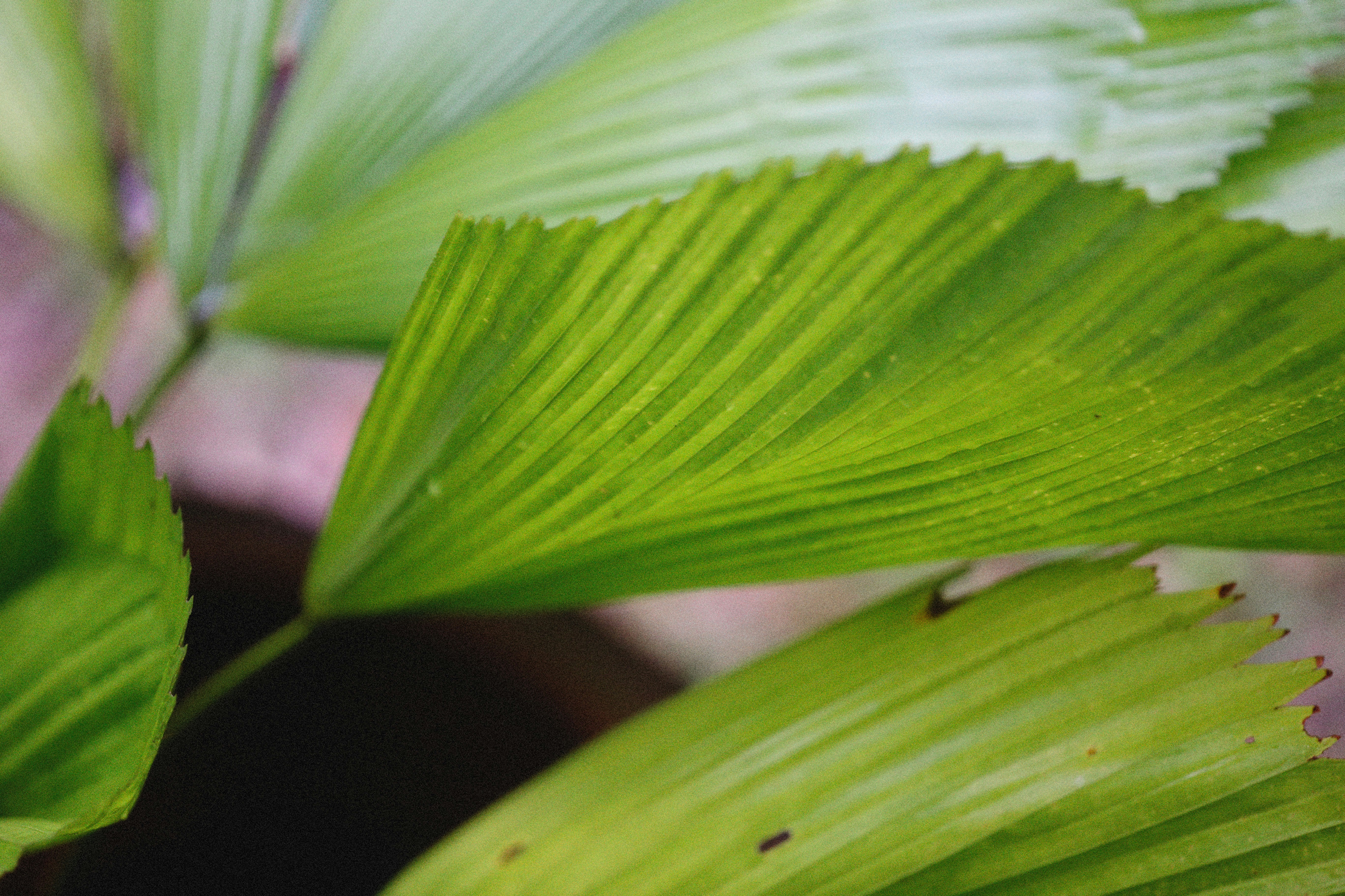 Photo by alexeydemidov