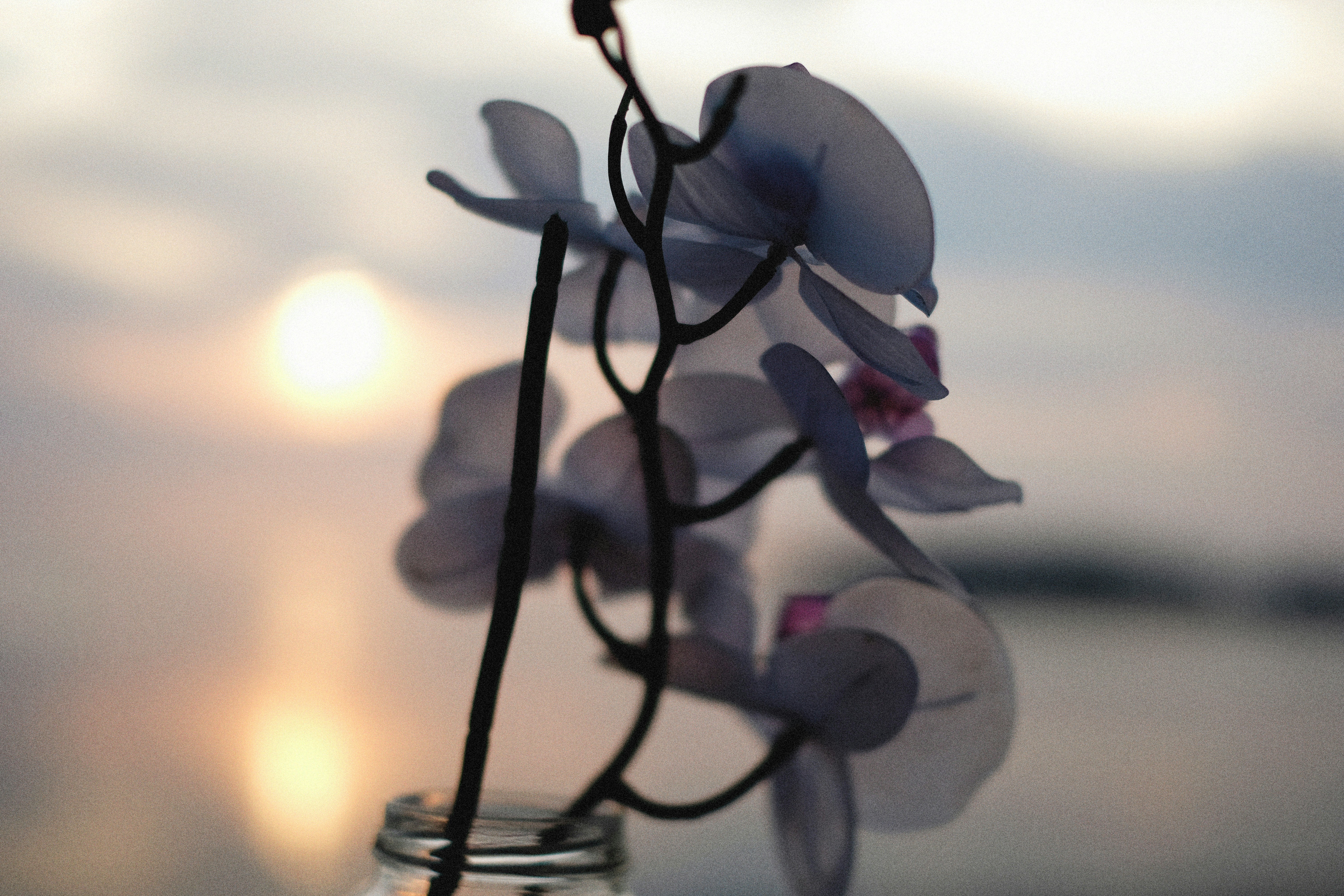 Photo by alexeydemidov