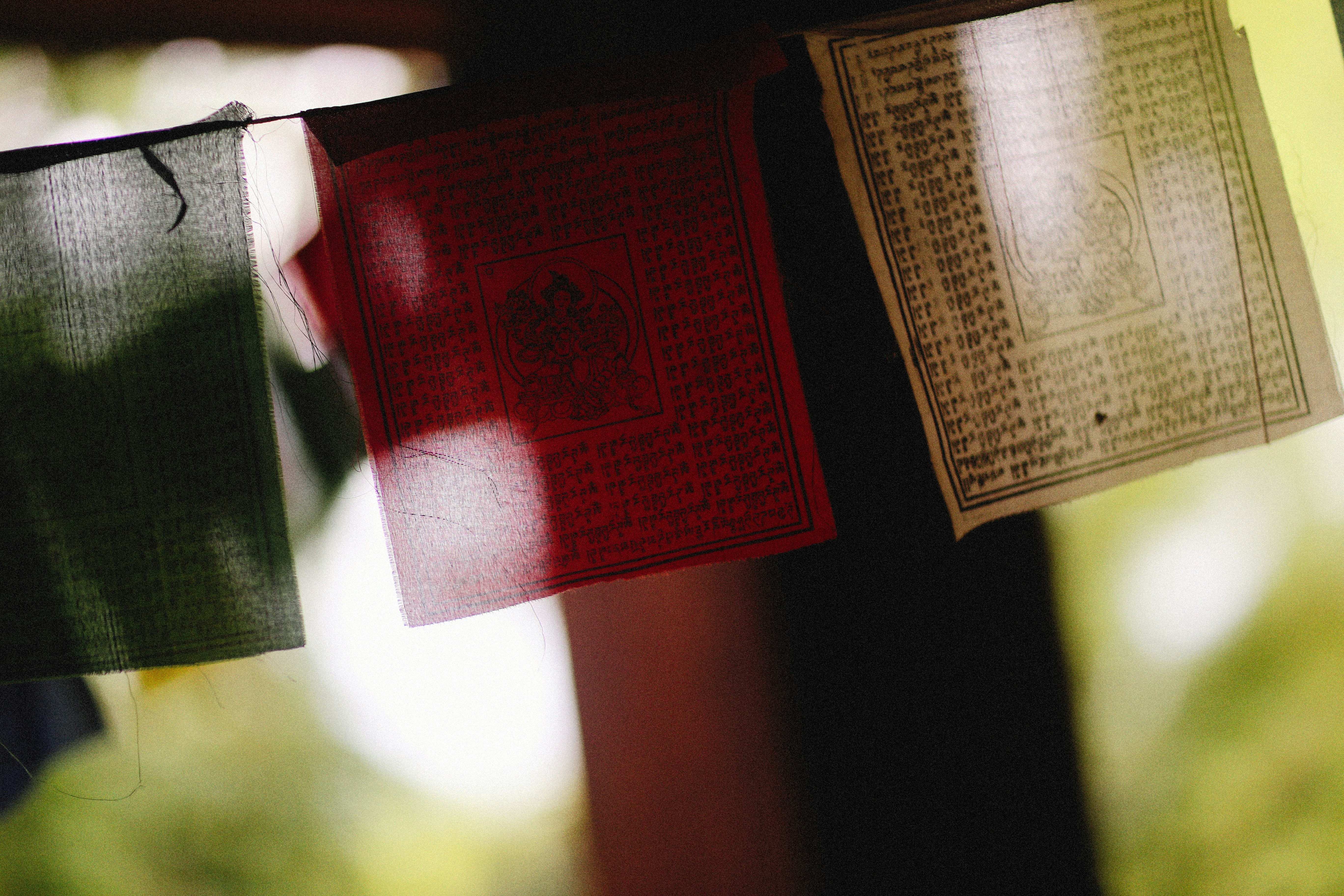 Photo by alexeydemidov