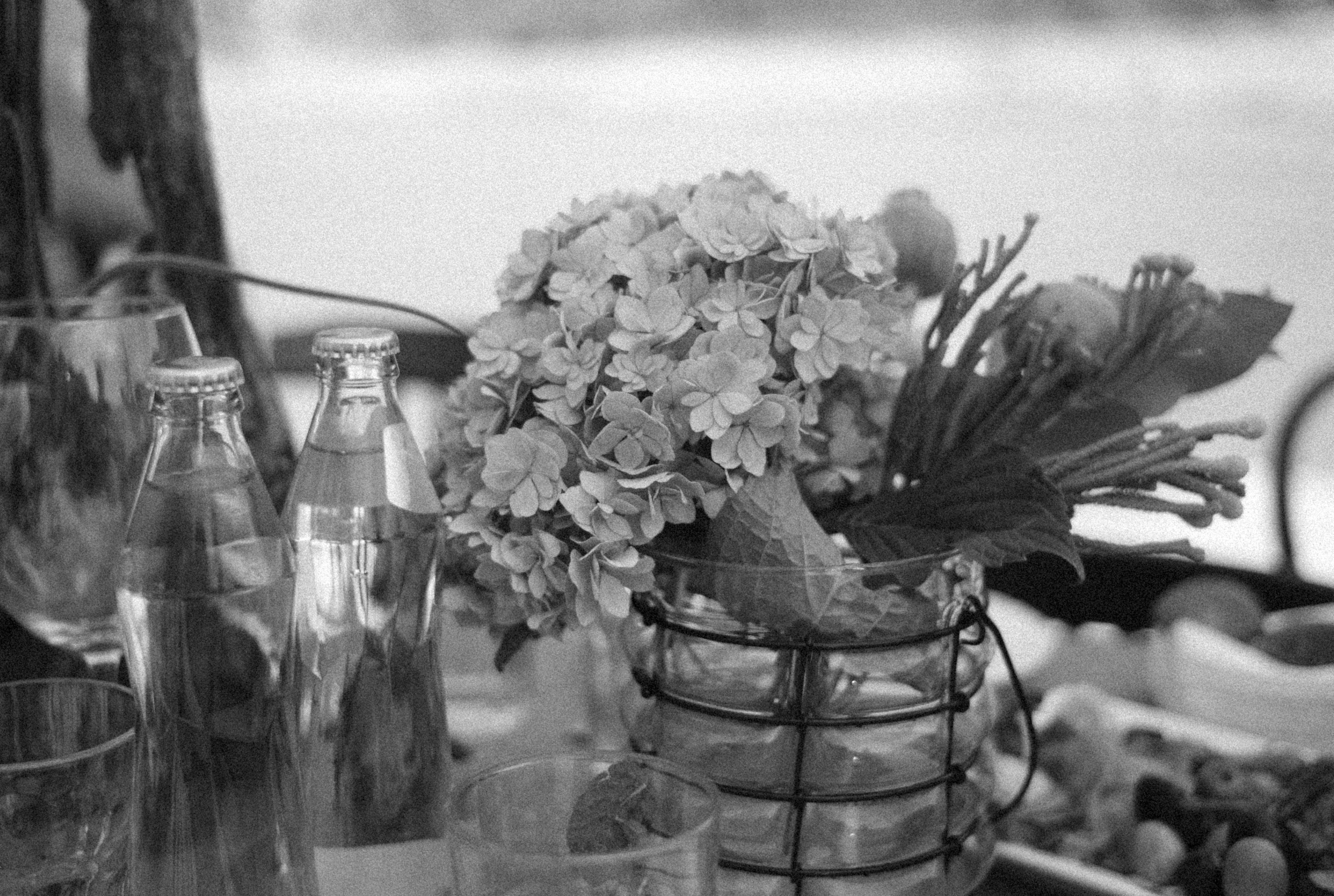 Photo by alexeydemidov