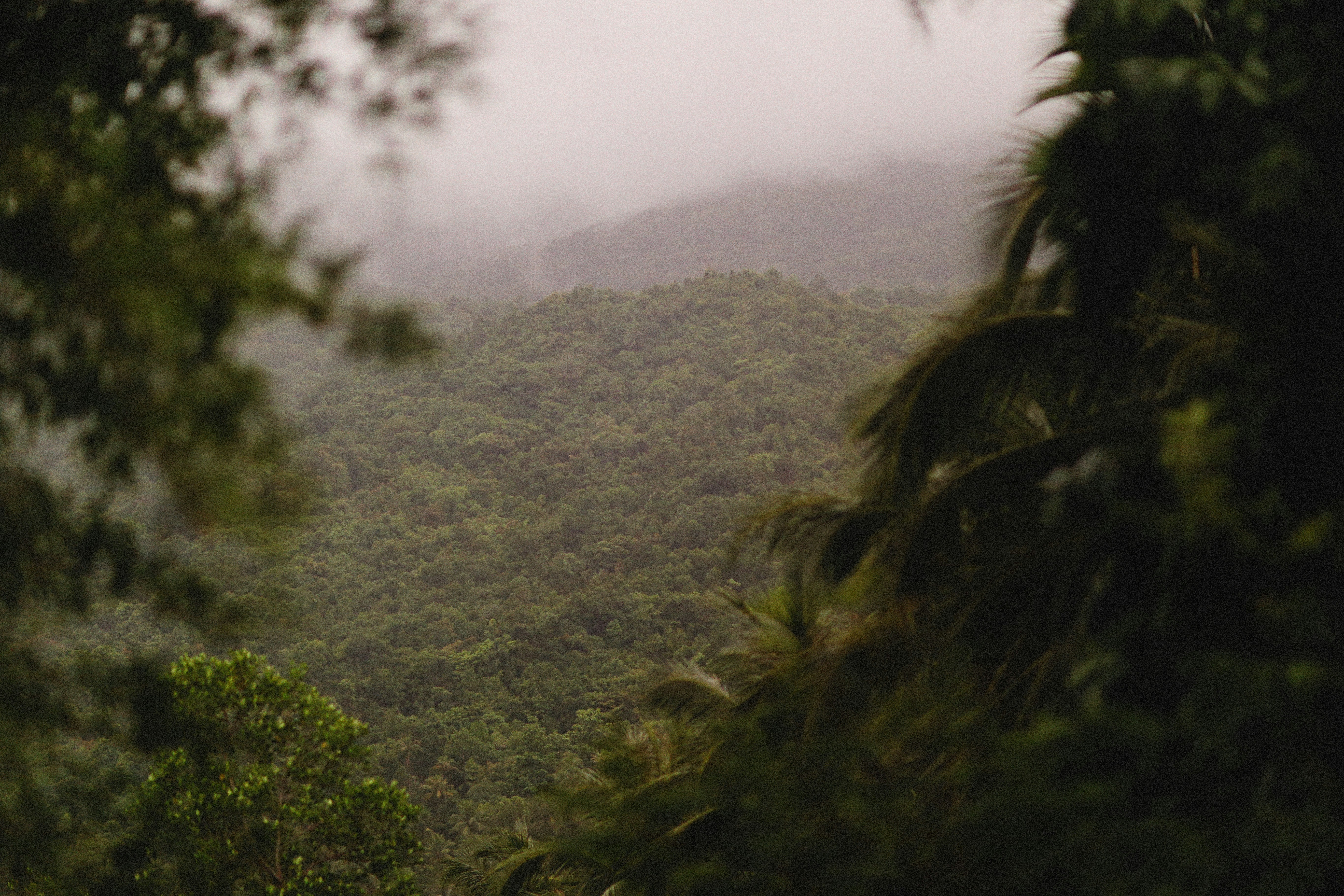 Photo by alexeydemidov