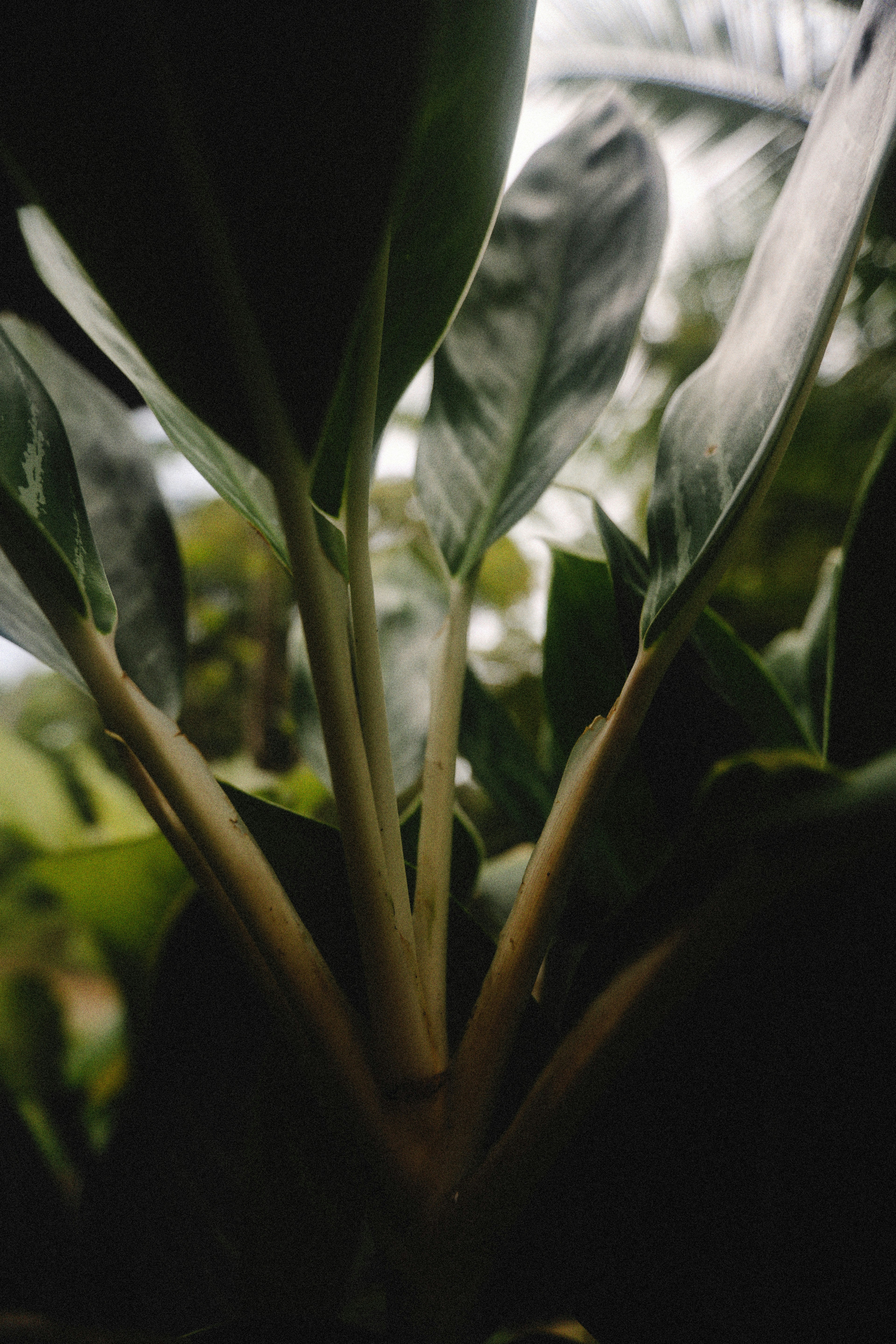 Photo by alexeydemidov