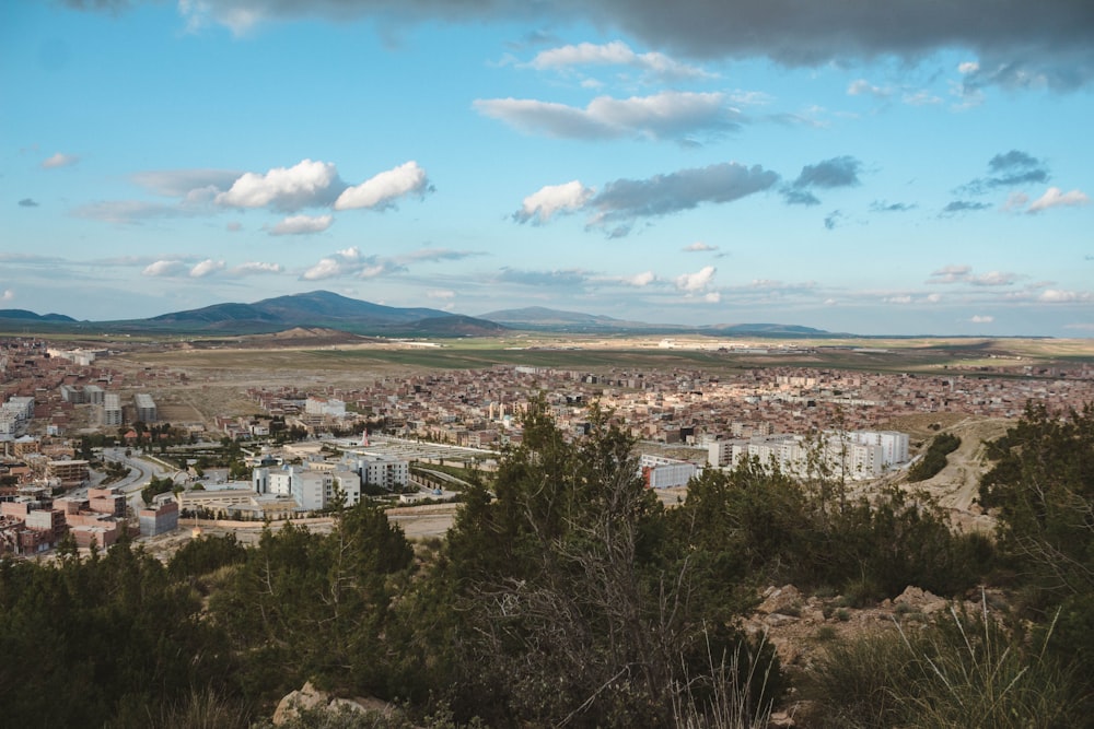 a city with trees and mountains in the background