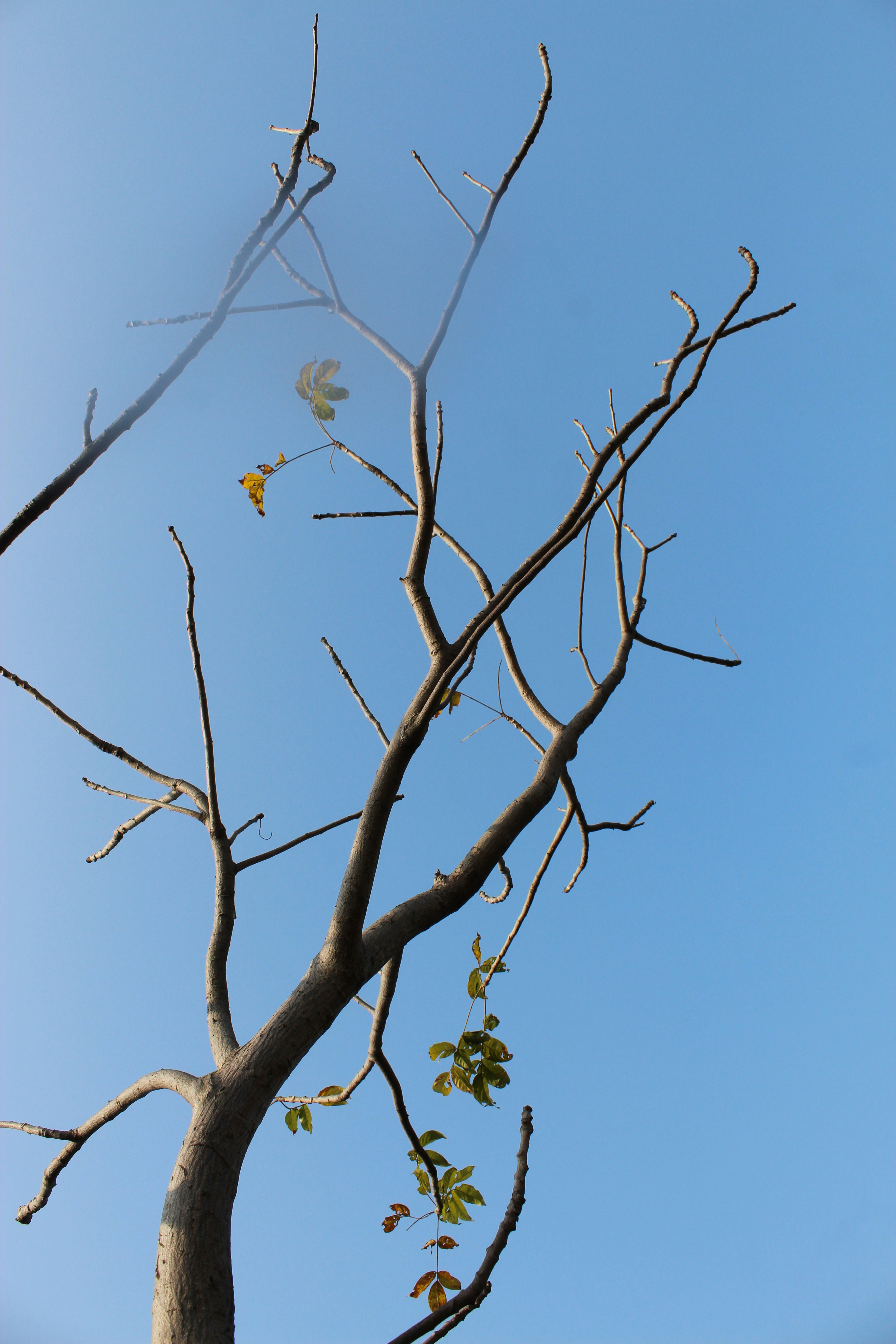 Photo by aubrey_yanai