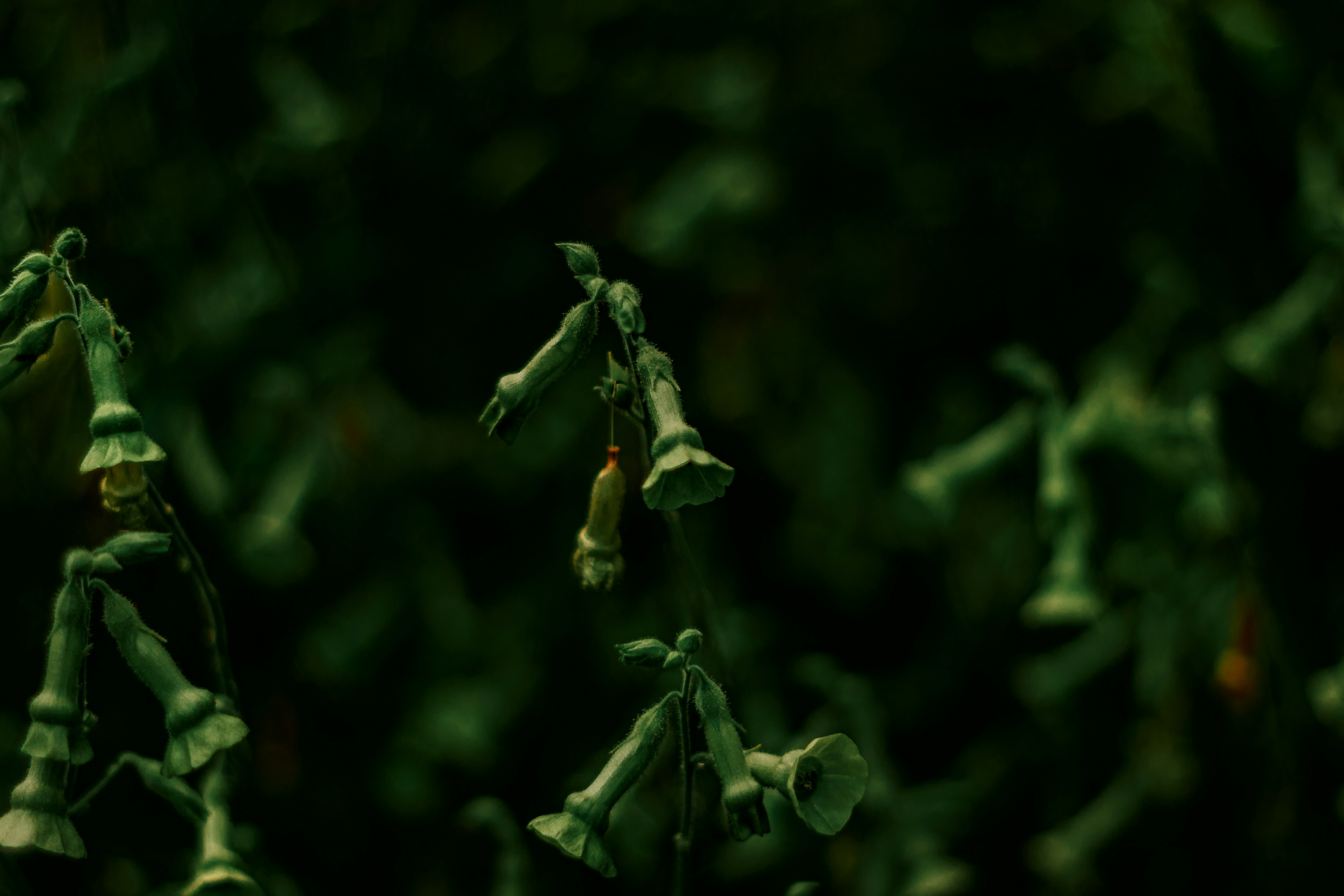 Photo by sirmisbehave