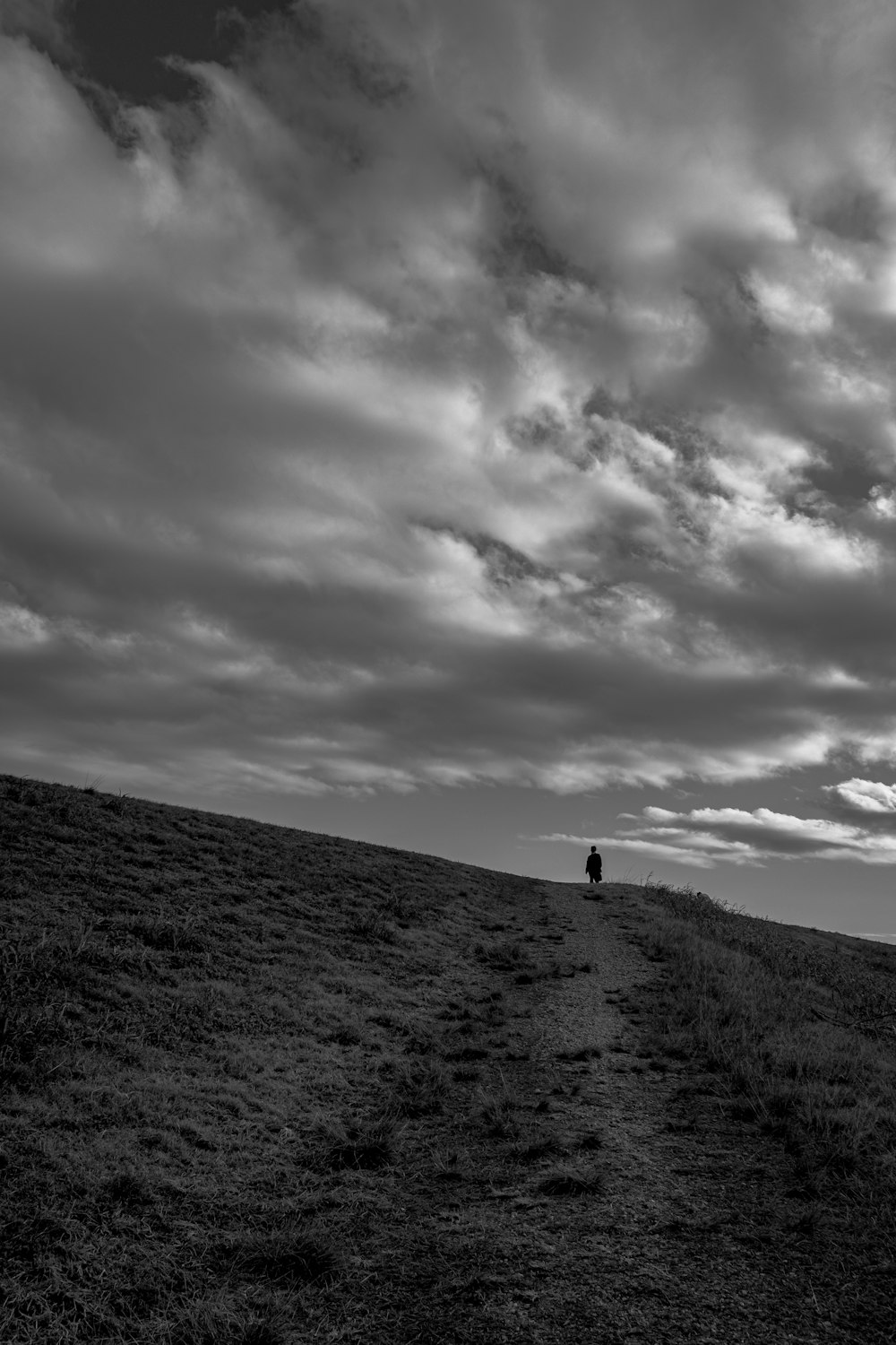 a person walking on a hill