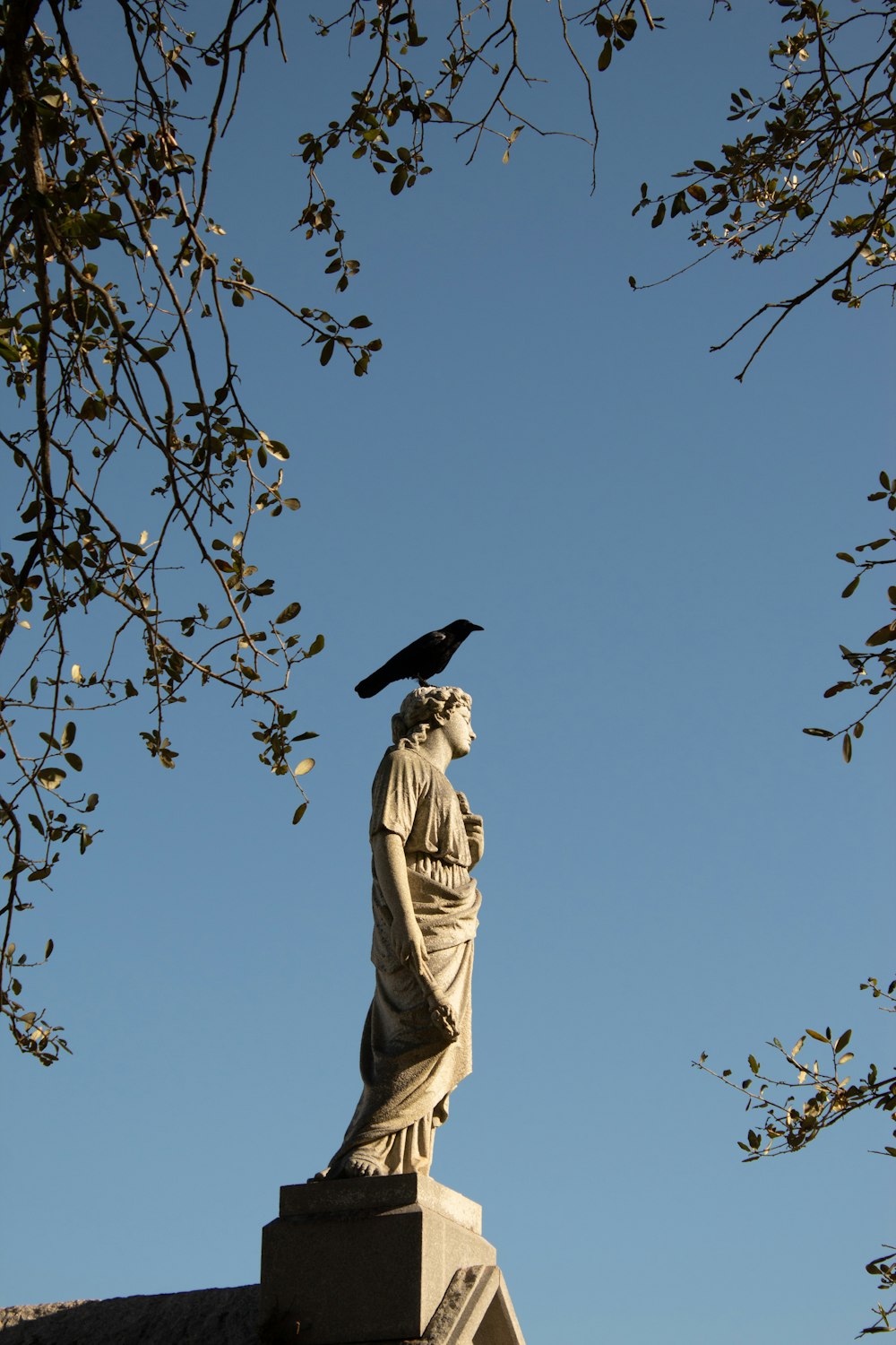a bird sitting on a statue