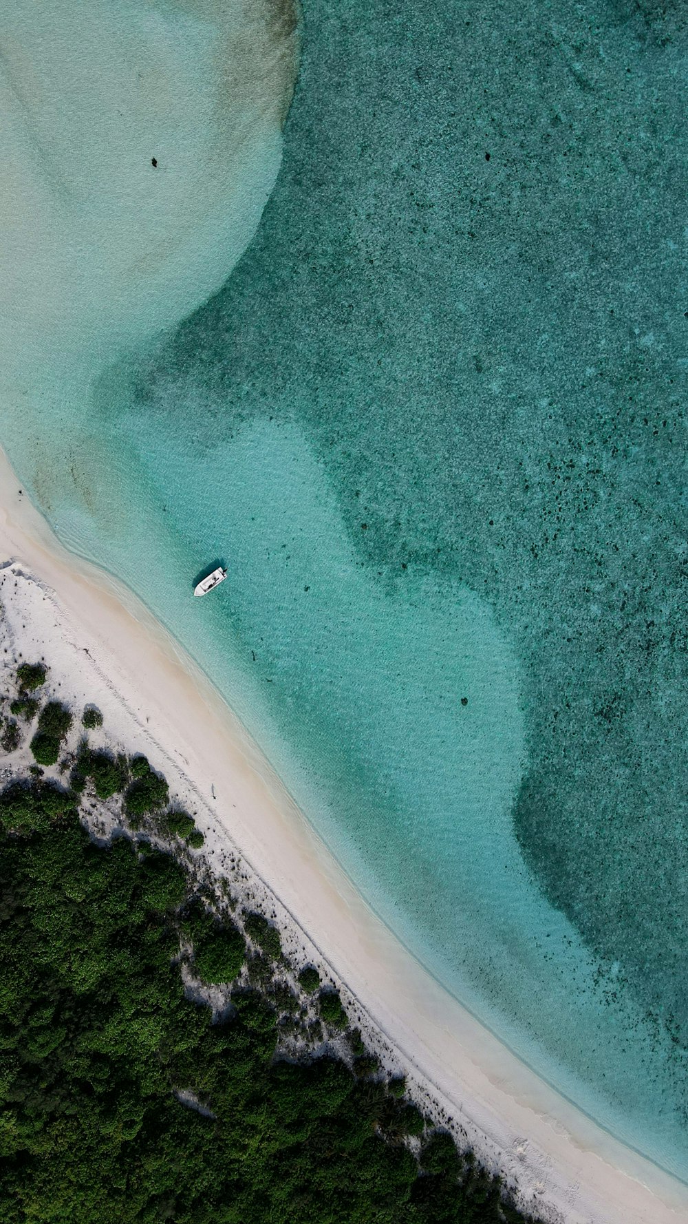 um barco na água