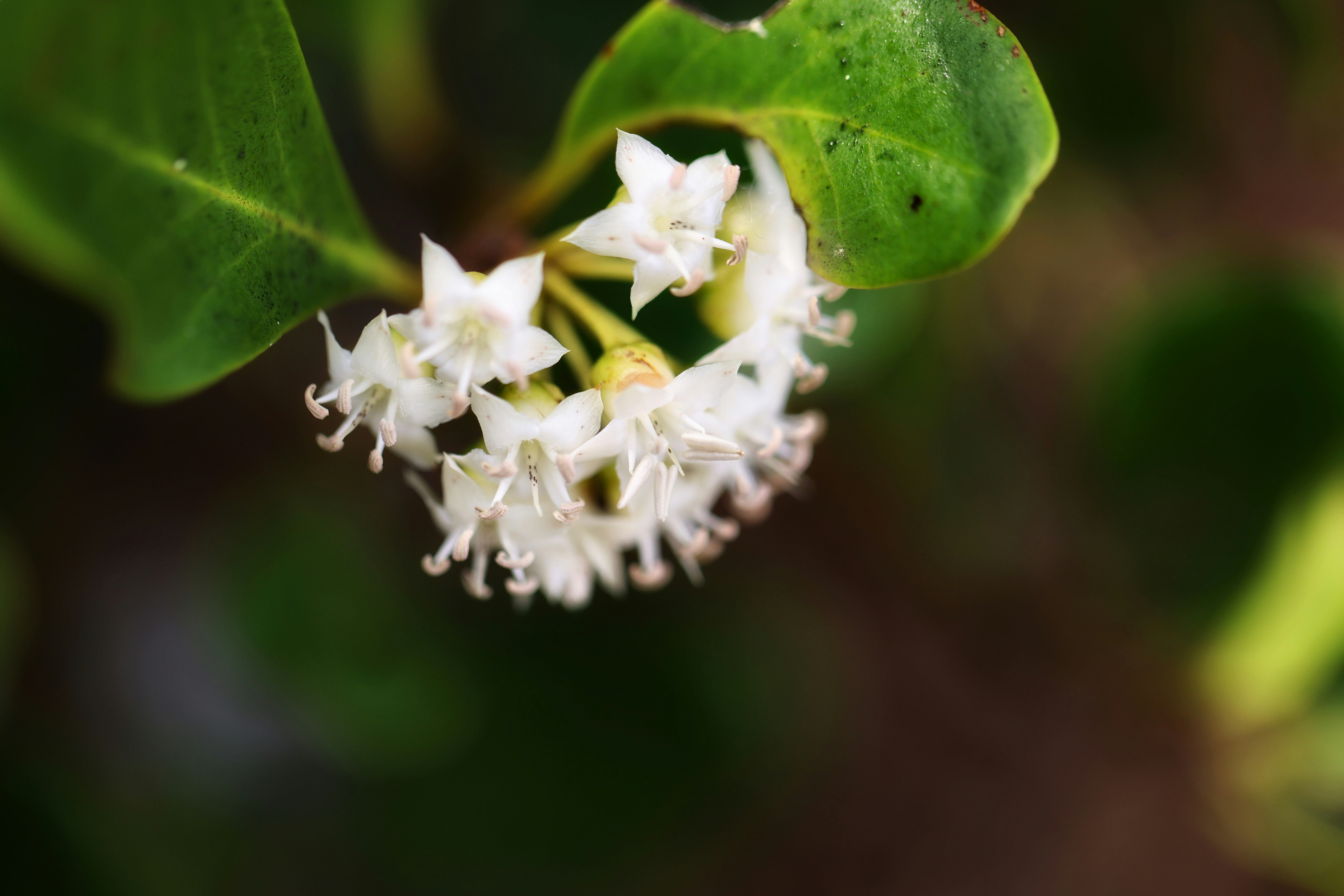 Photo by dickenslin76