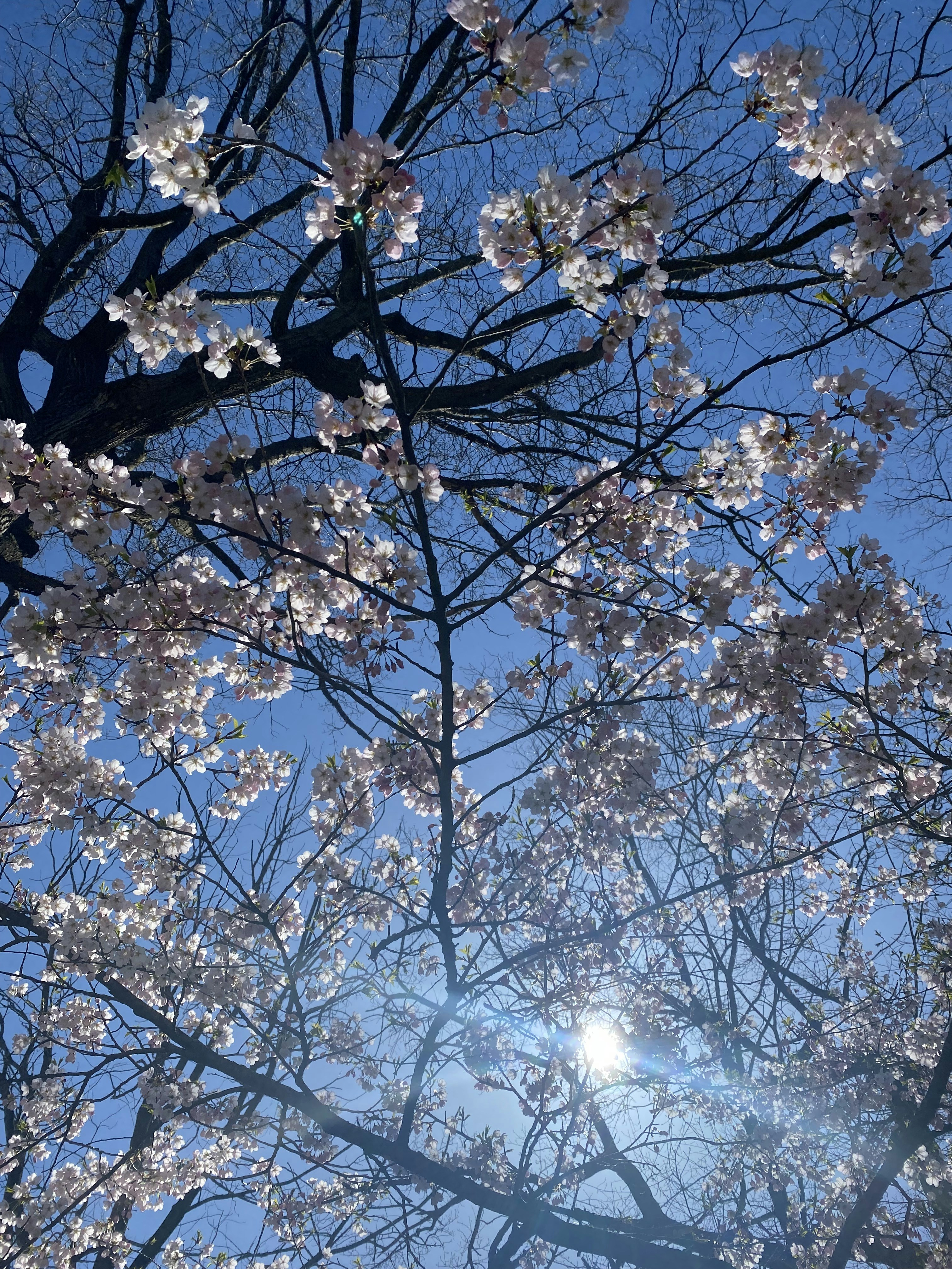 Photo by amateurartiste