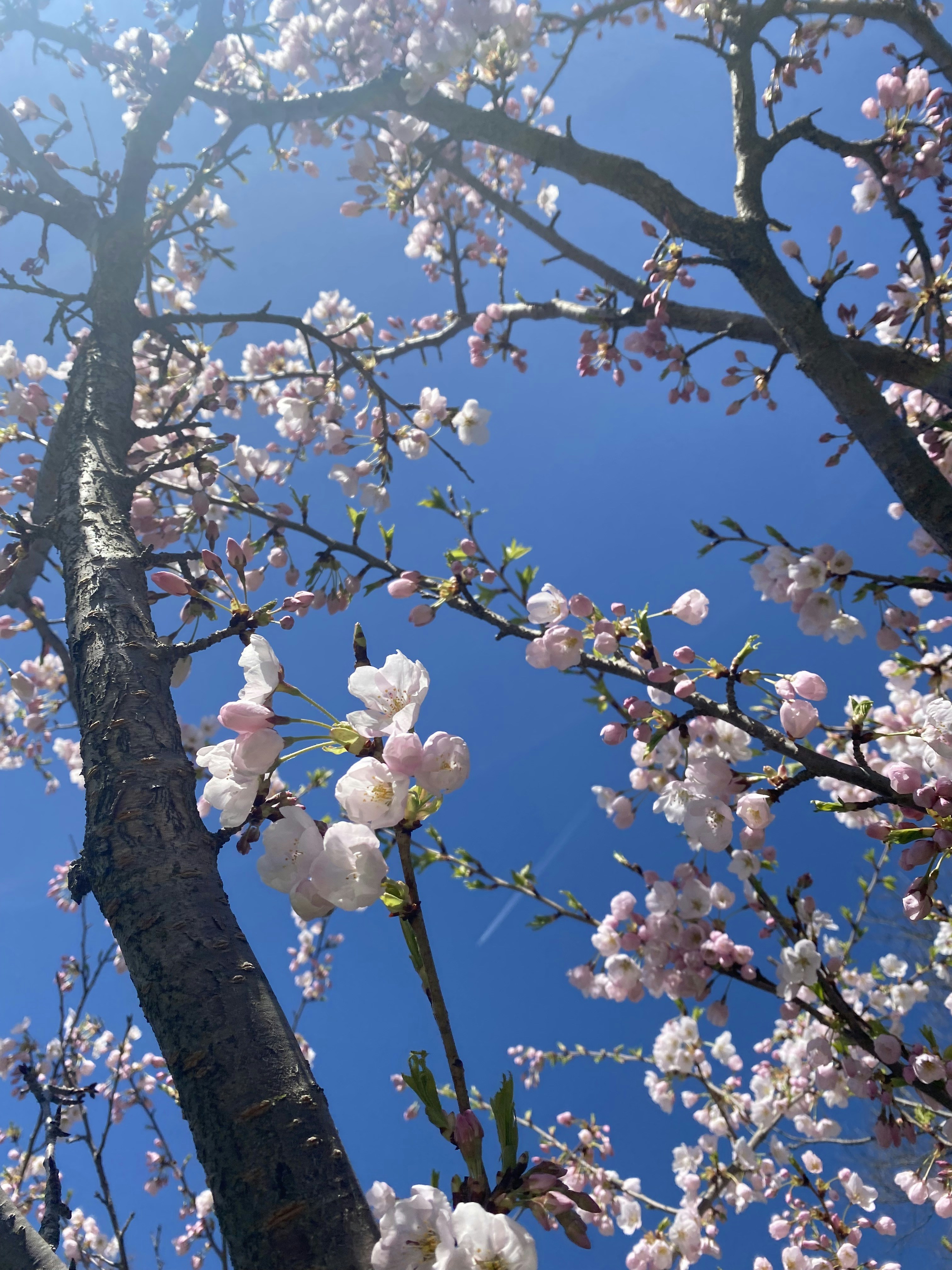 Photo by amateurartiste