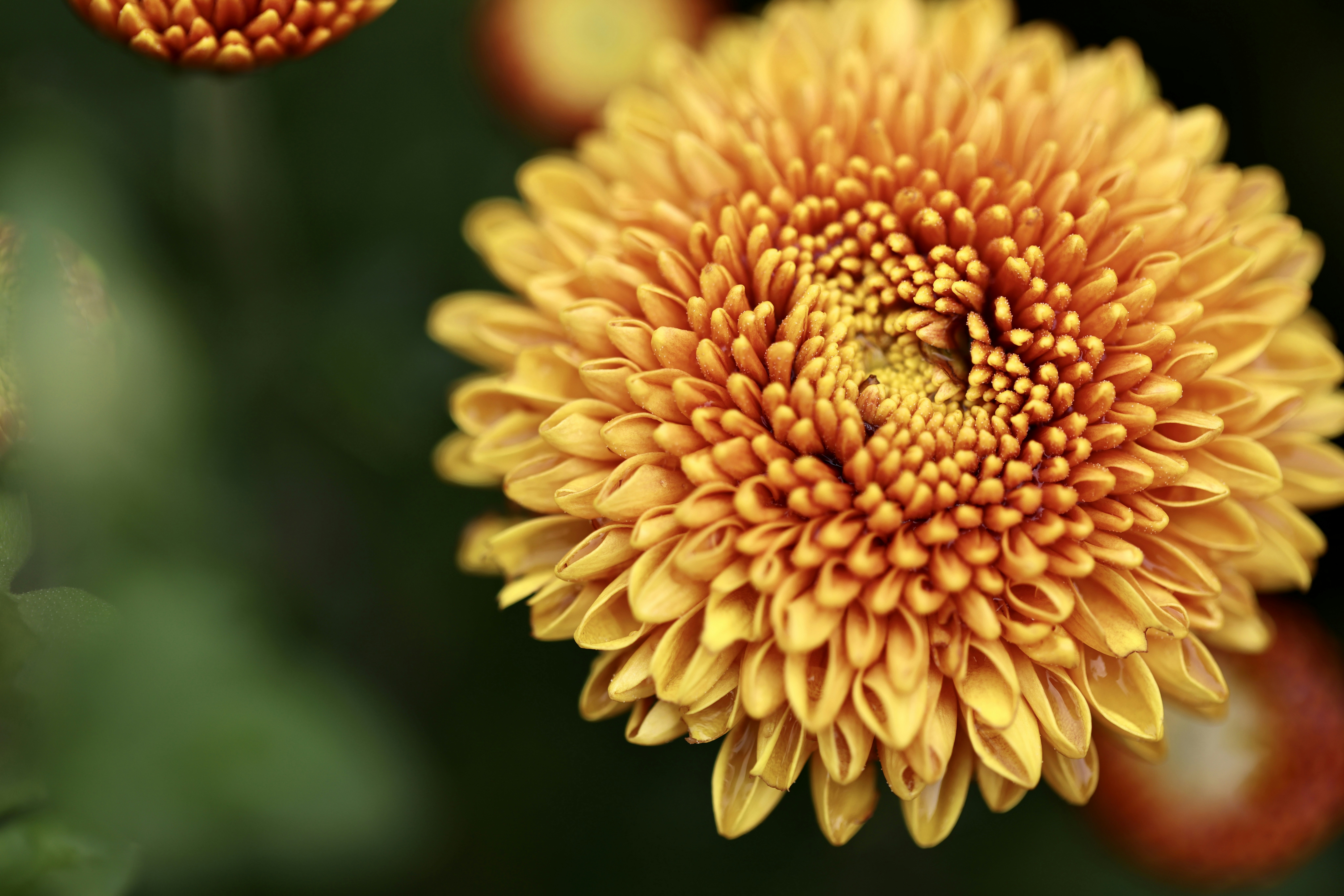 Photo by dickenslin76