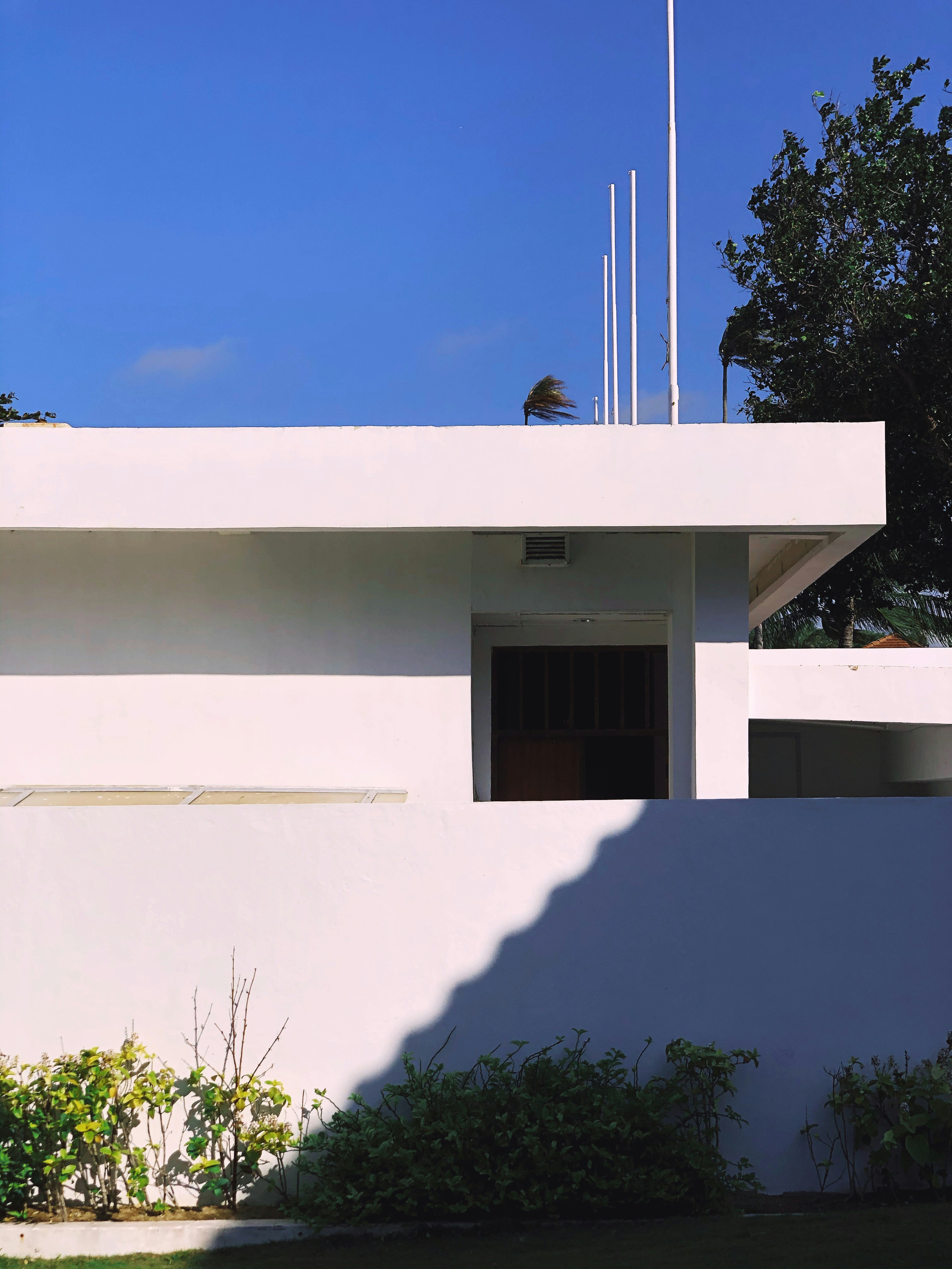 Photo by darylbydesign