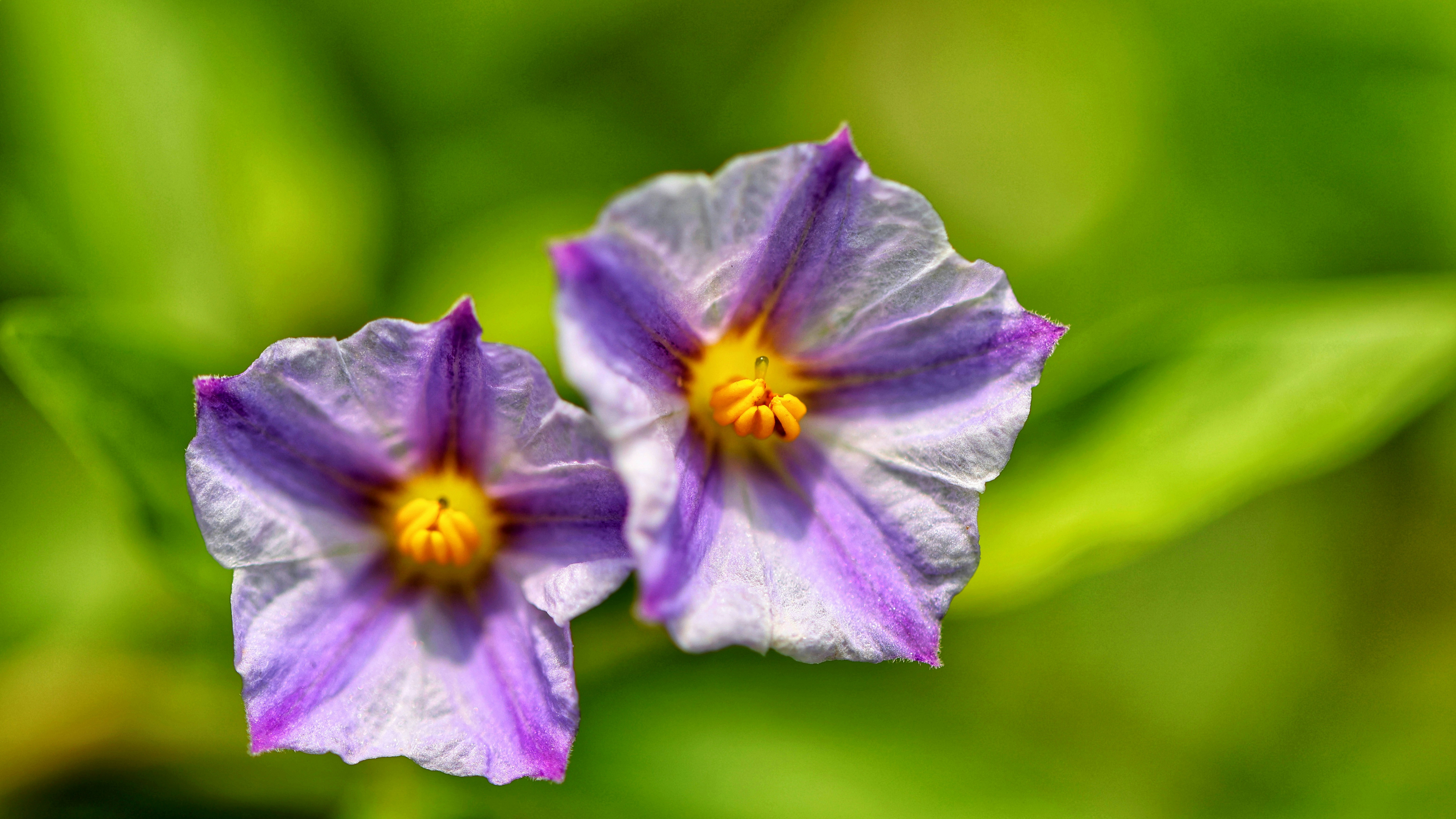 Photo by dickenslin76