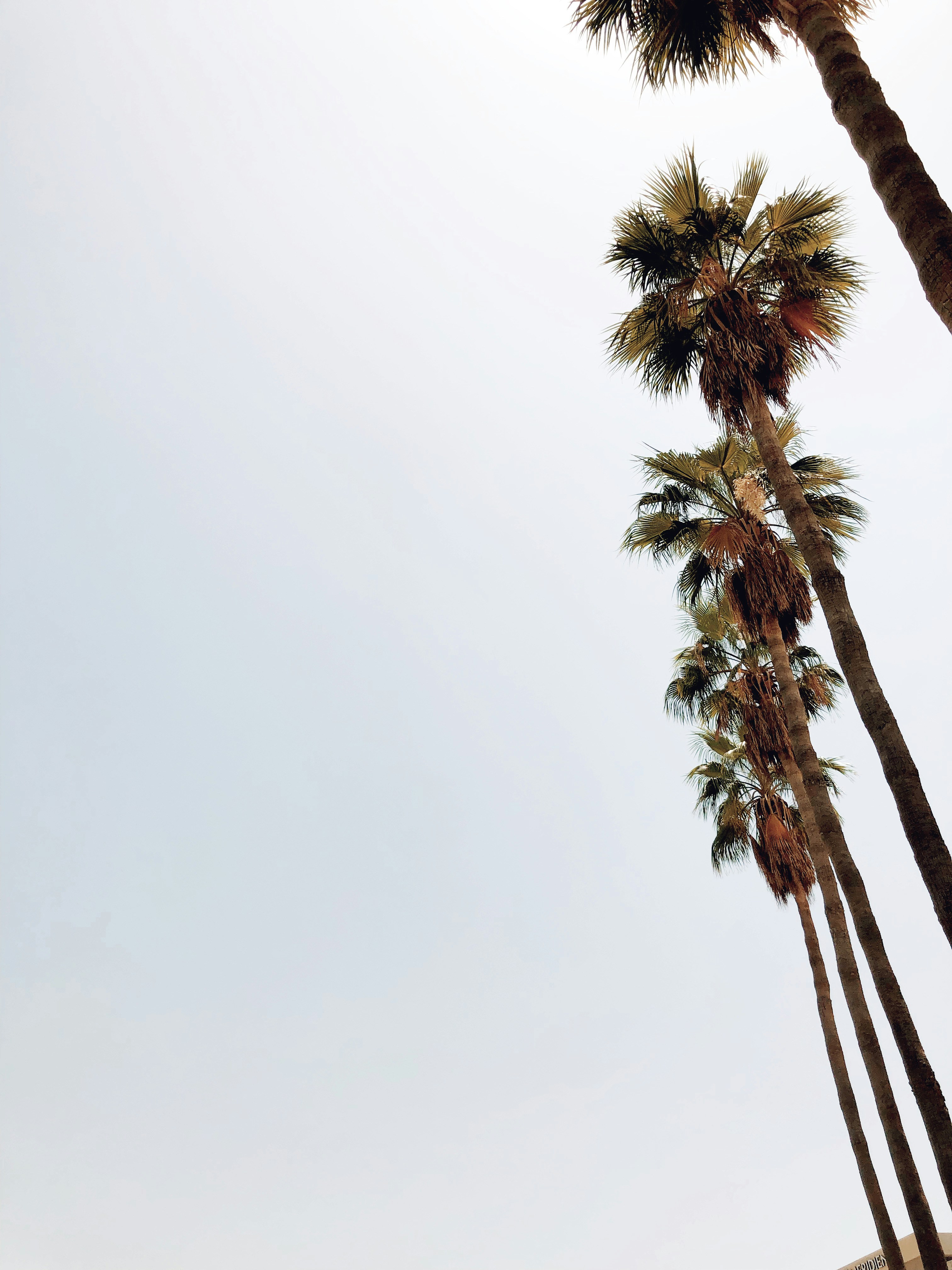 Photo by darylbydesign