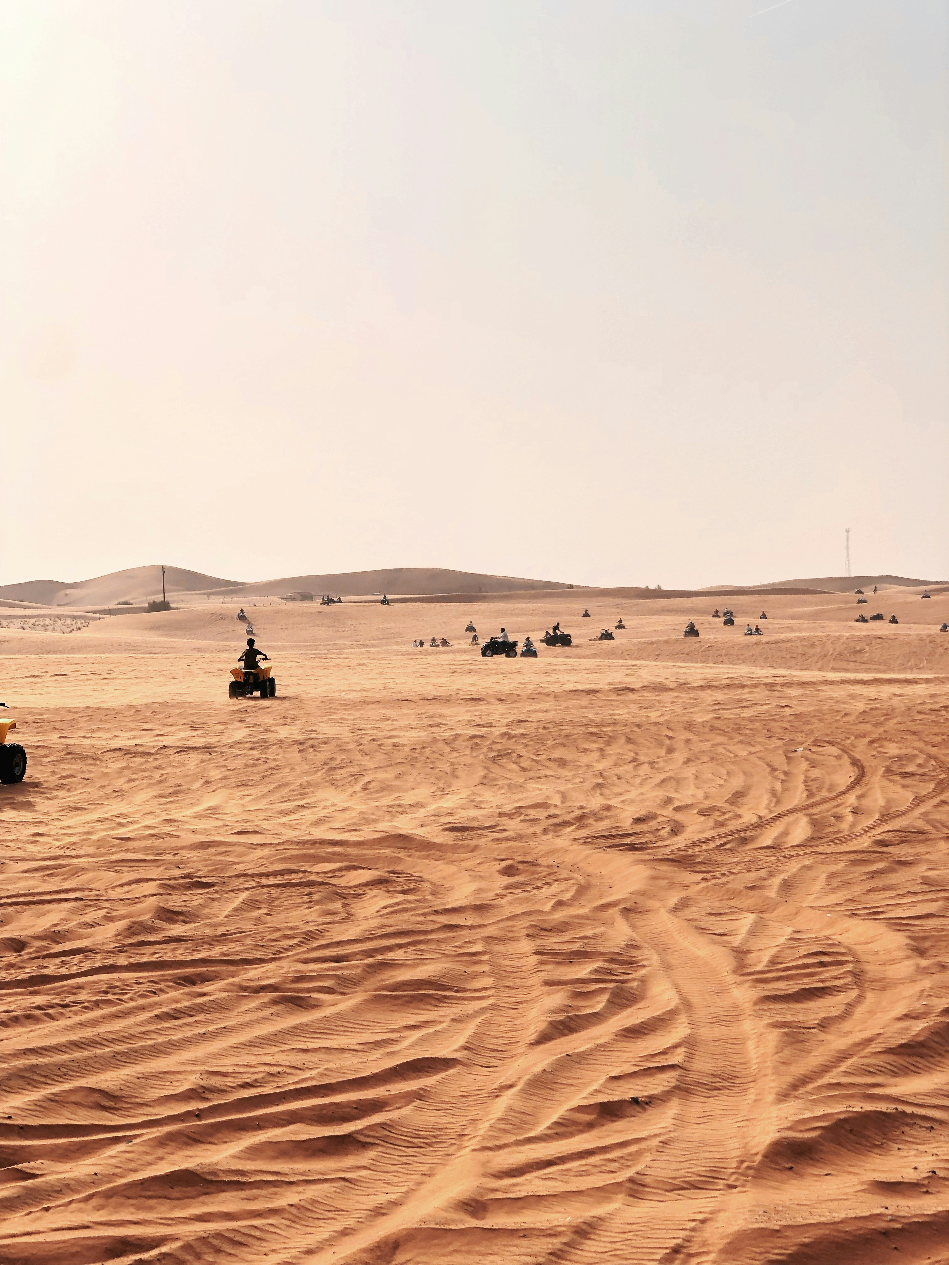 Photo by darylbydesign