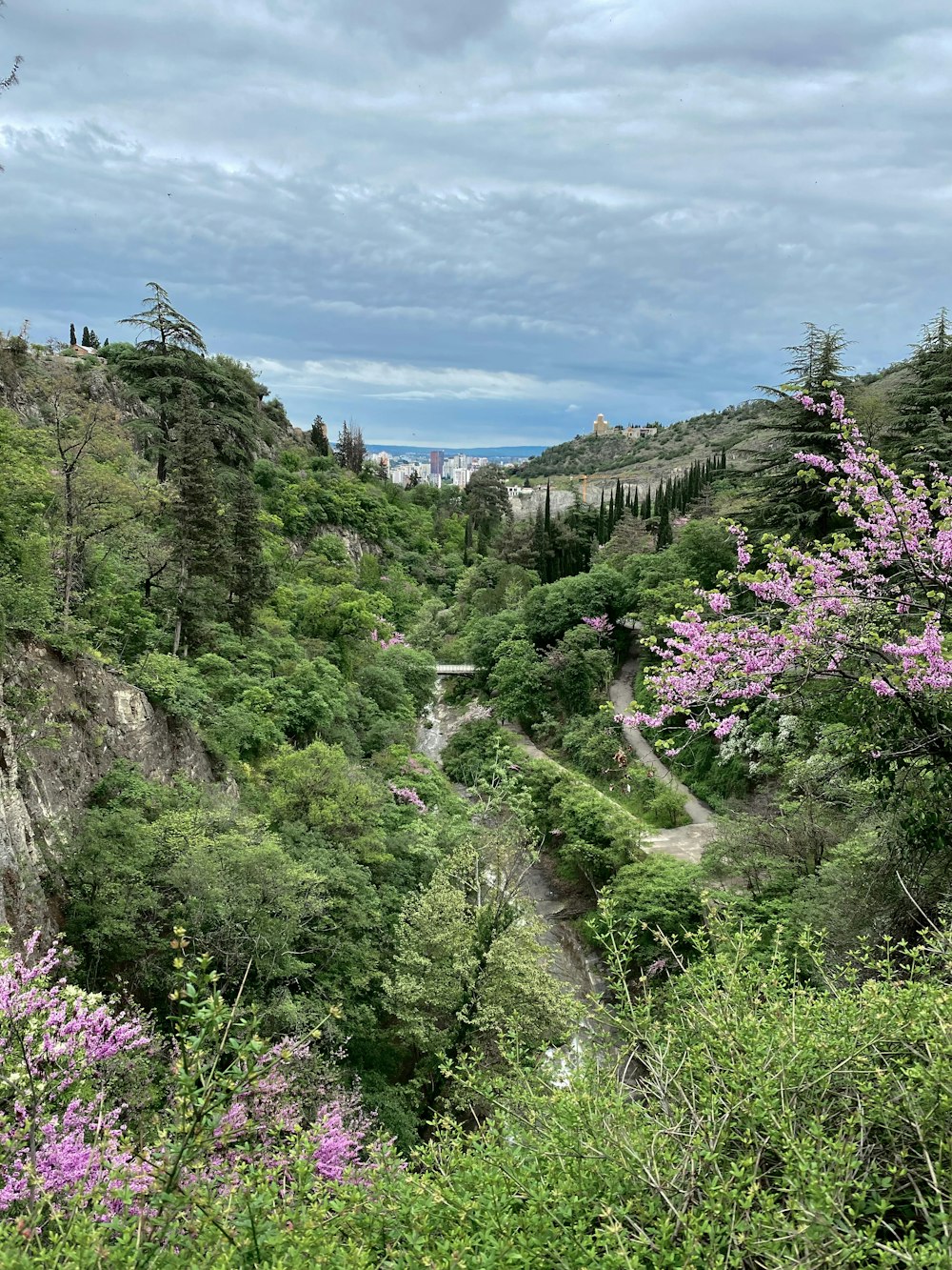 a landscape with trees and plants