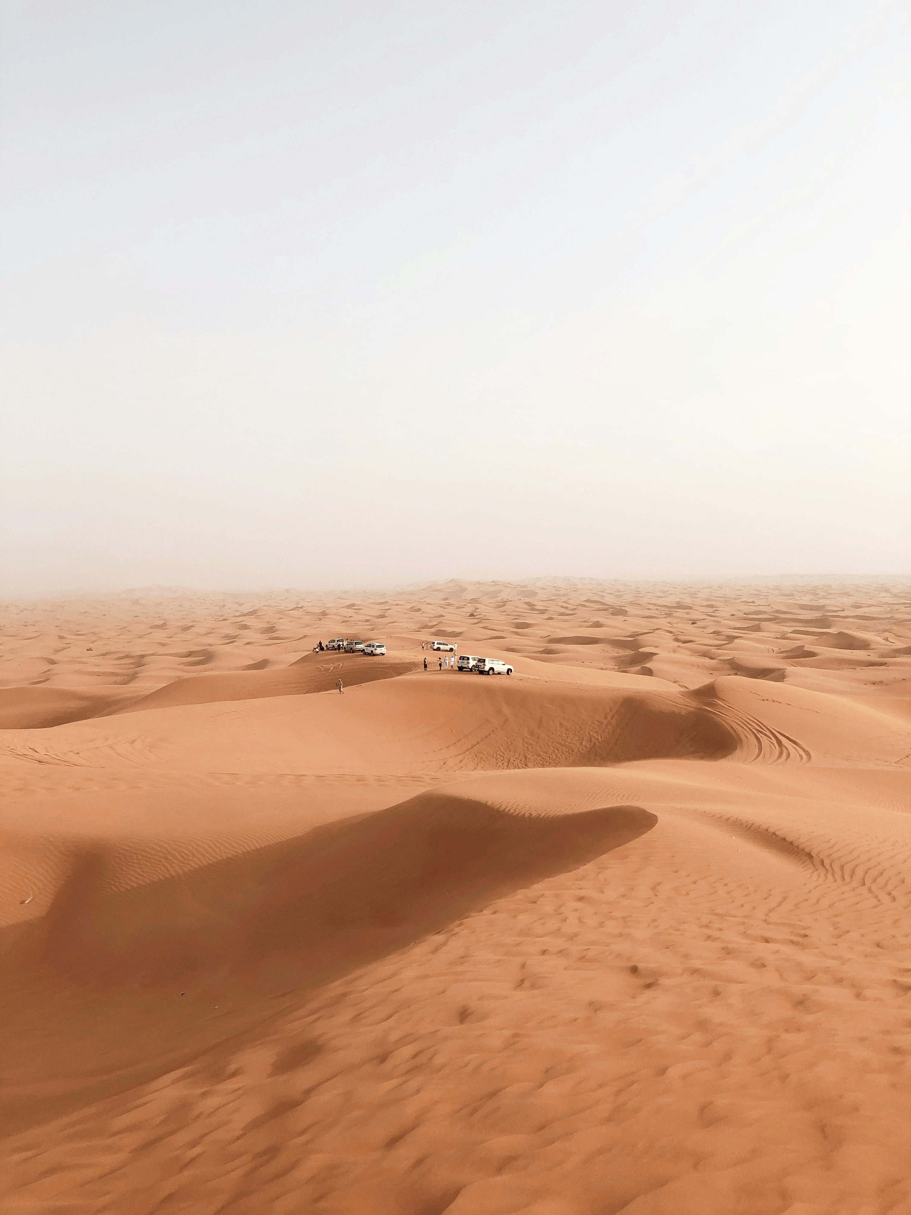 Photo by darylbydesign