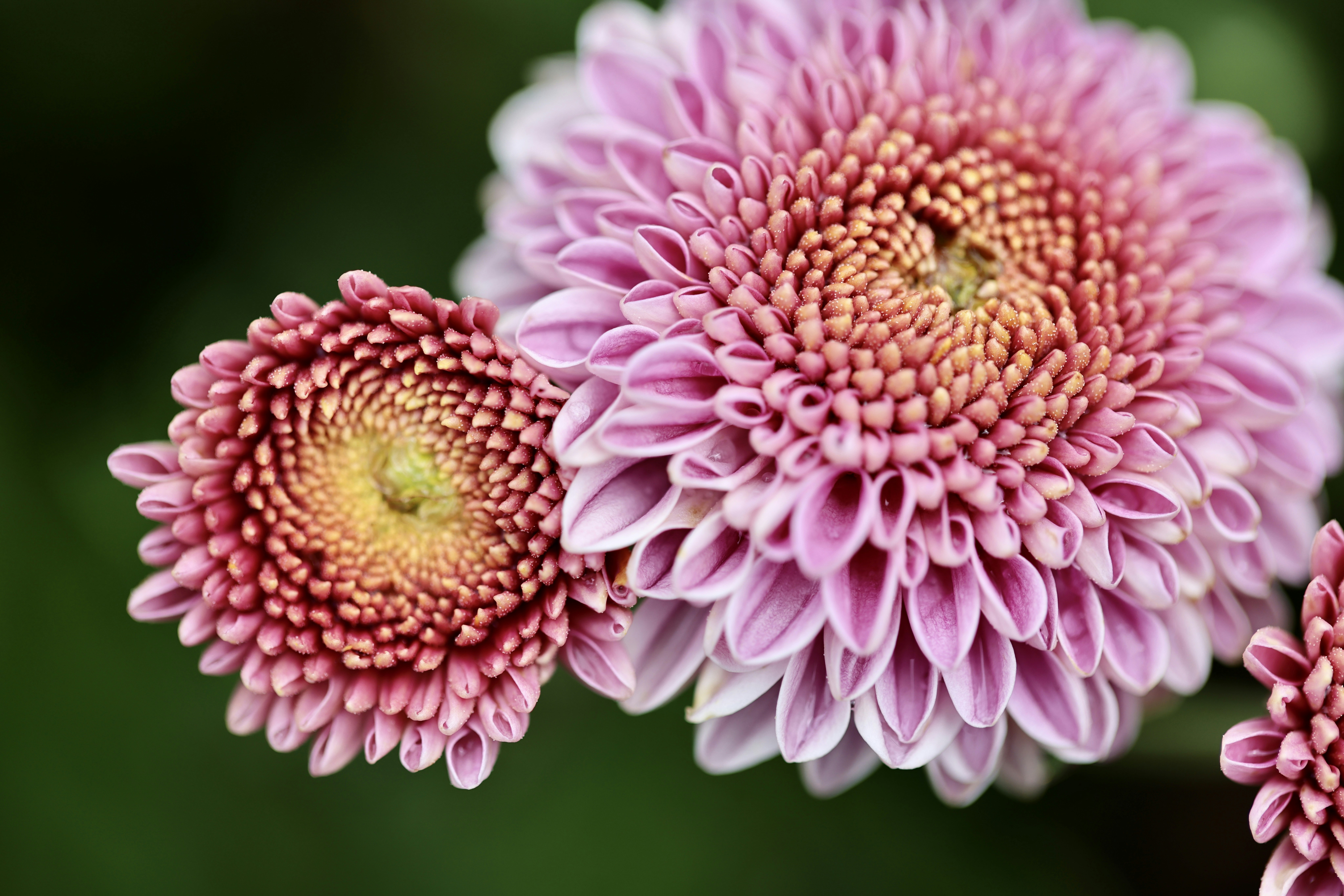 Photo by dickenslin76