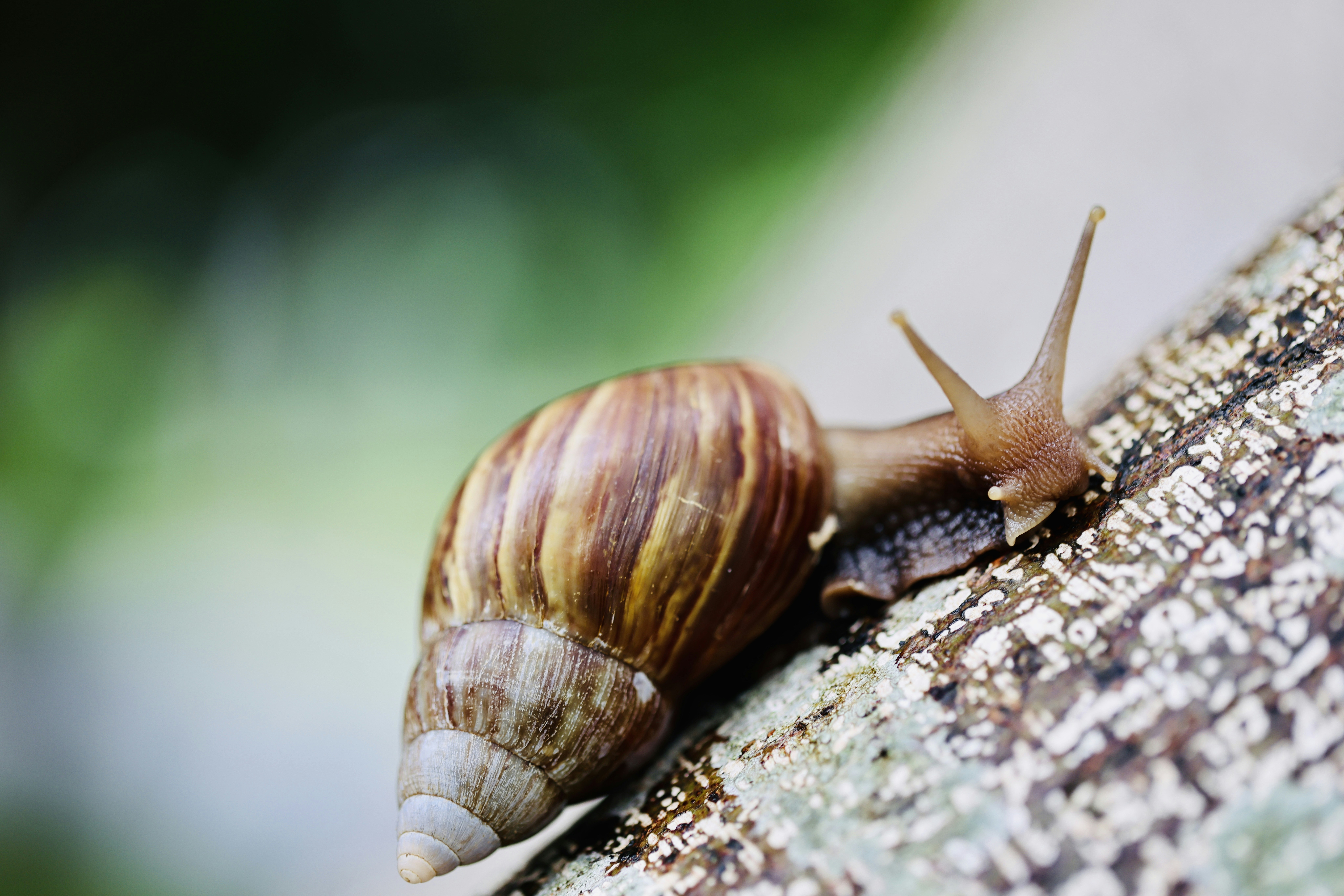 Photo by dickenslin76