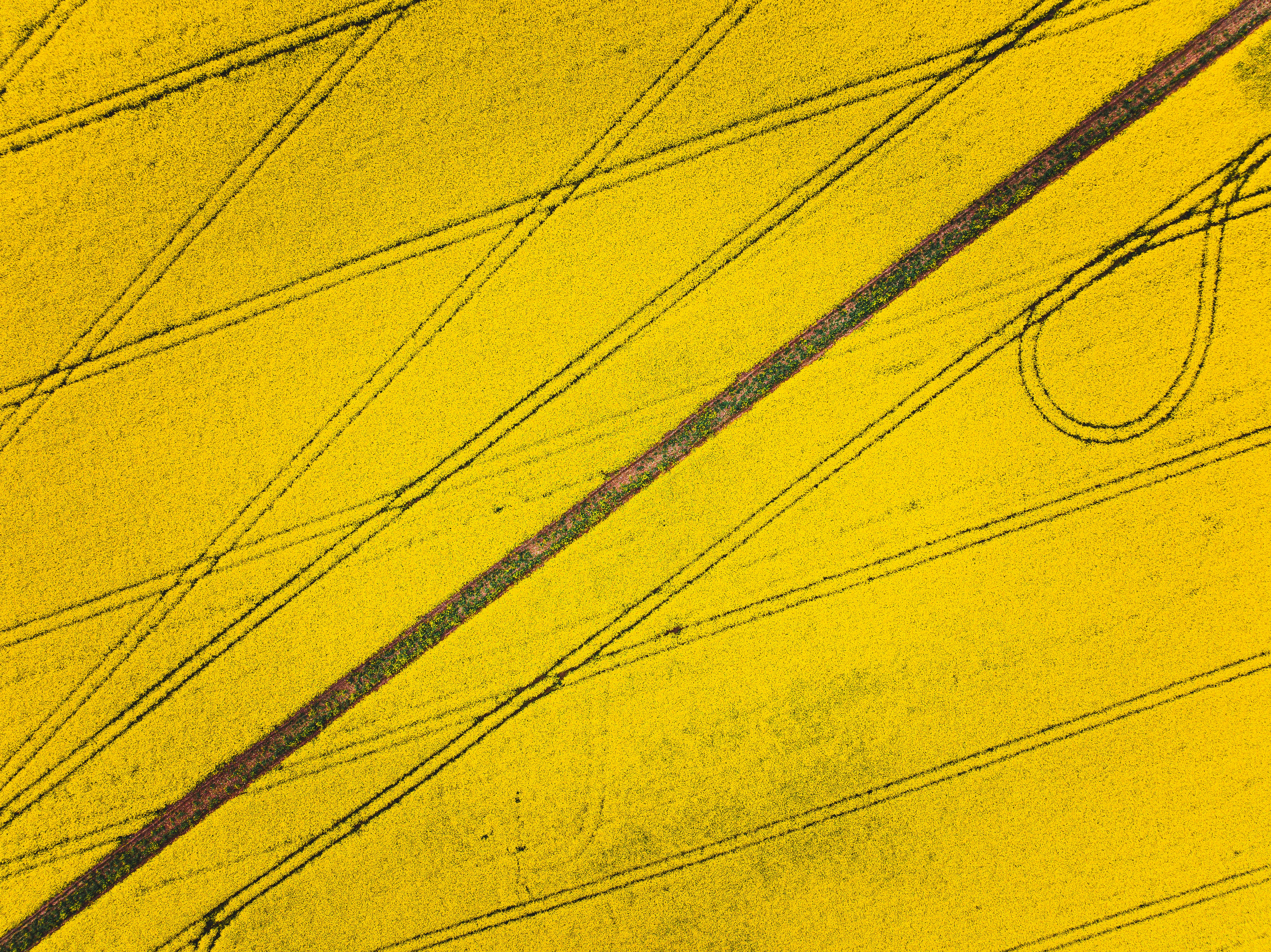 Photo by unstable_affliction