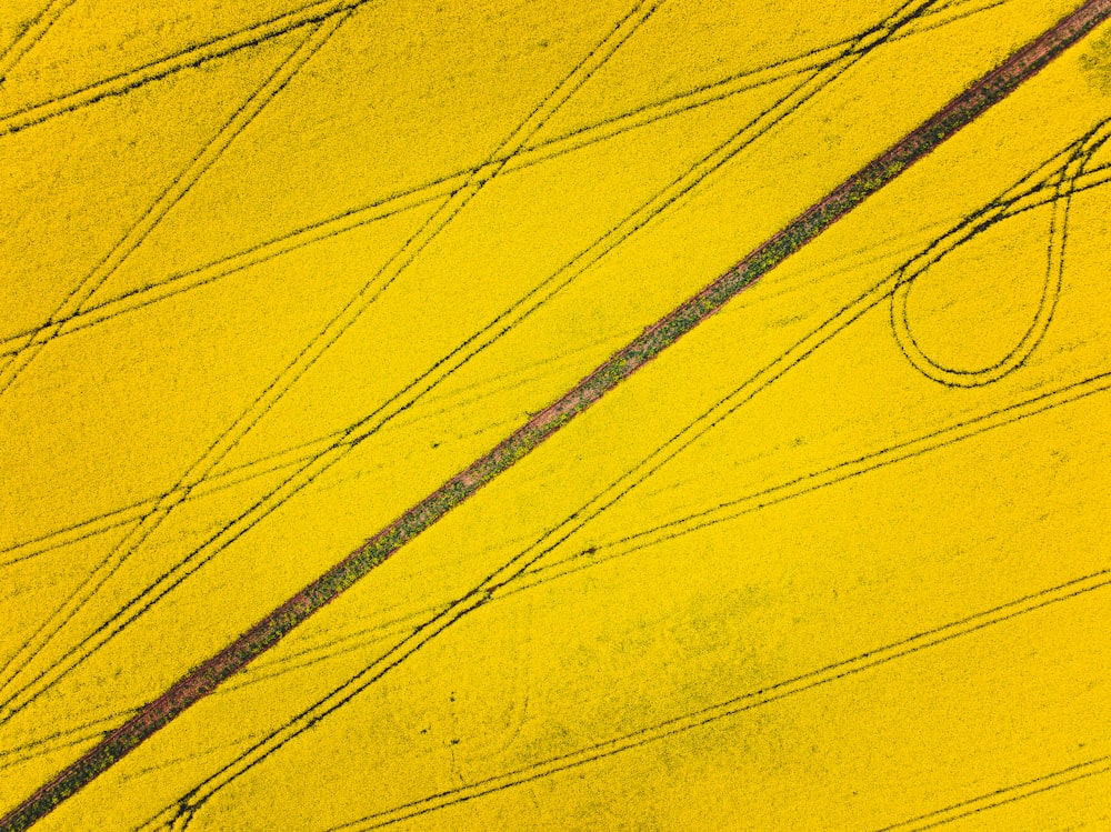 a close-up of a yellow field