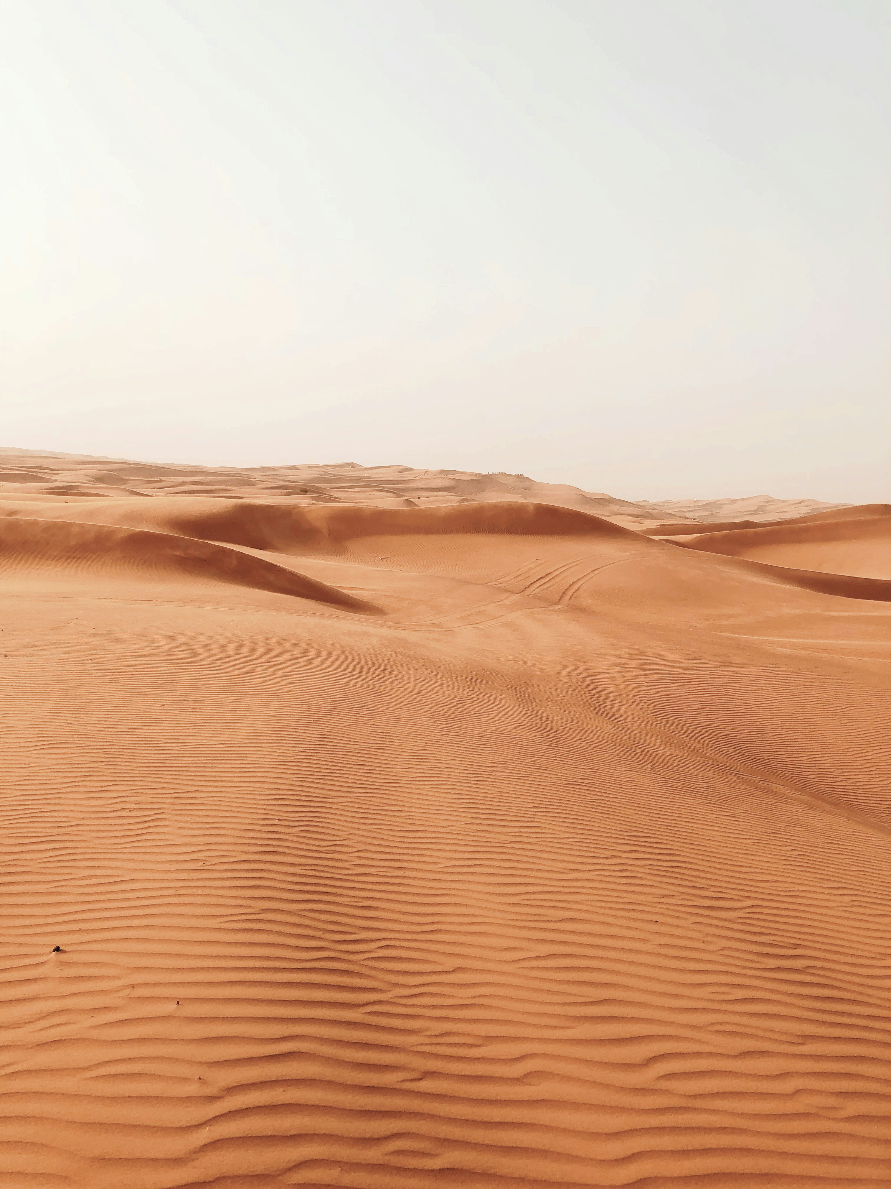 Photo by darylbydesign