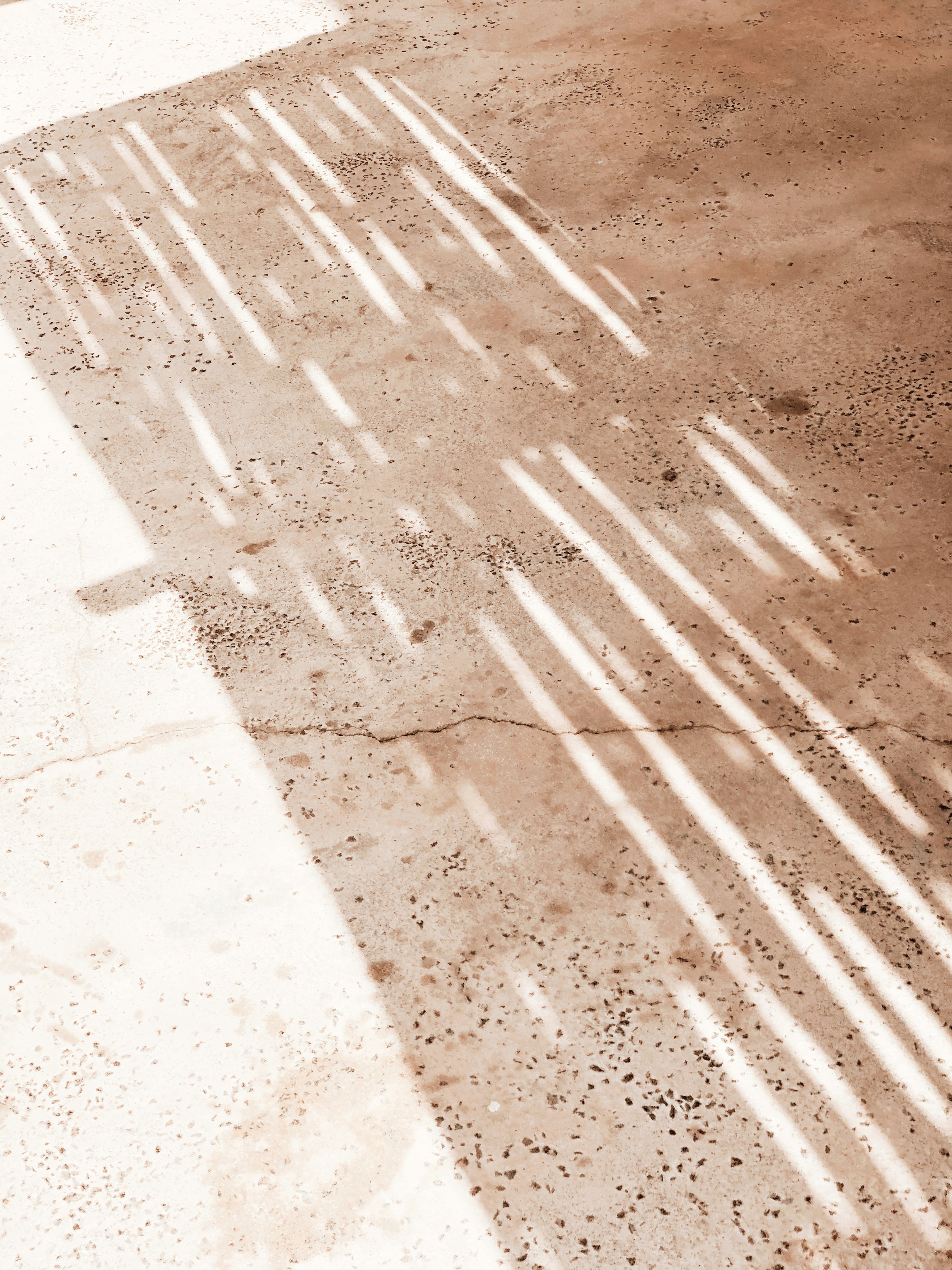 Photo by darylbydesign