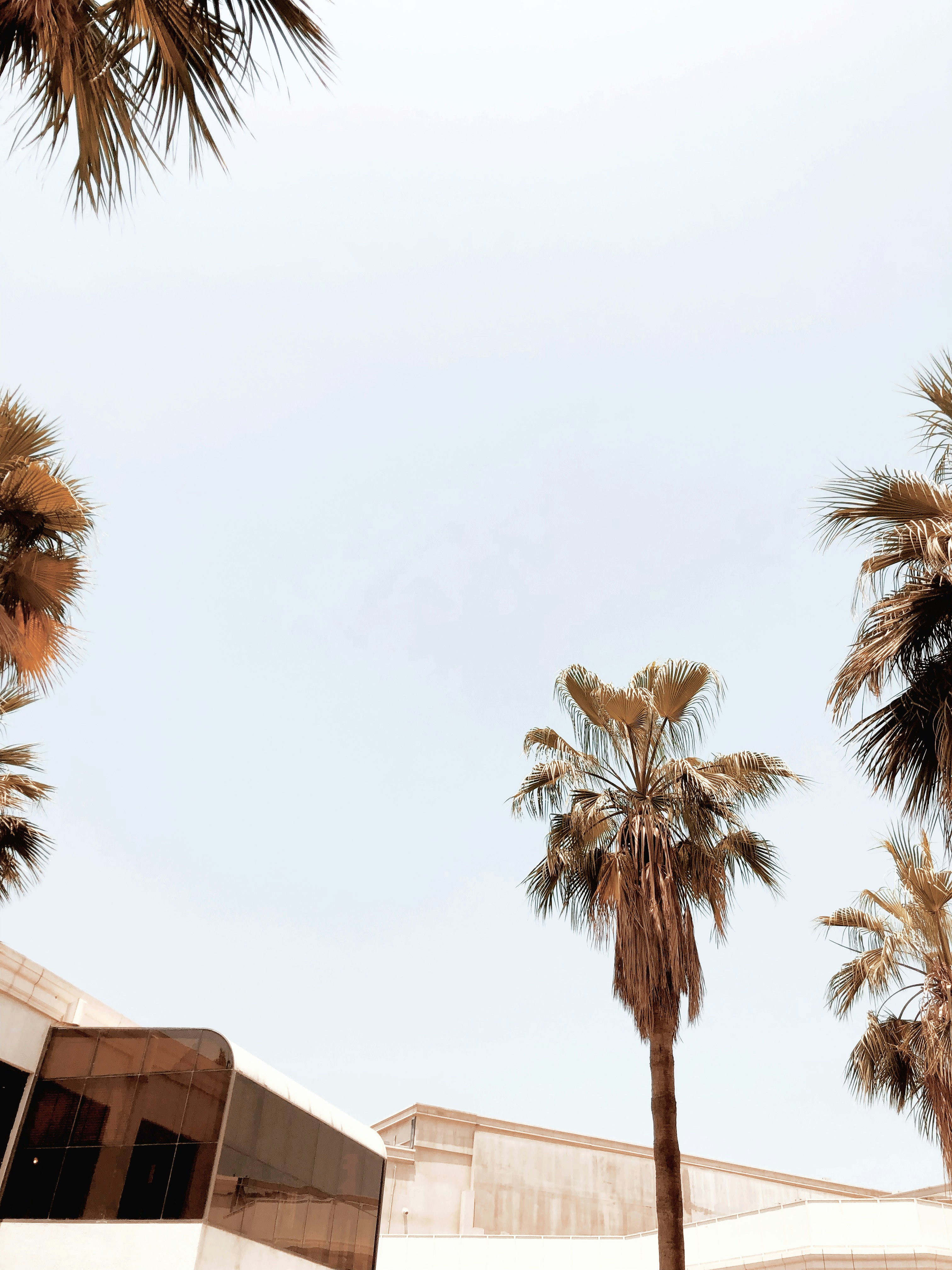 Photo by darylbydesign