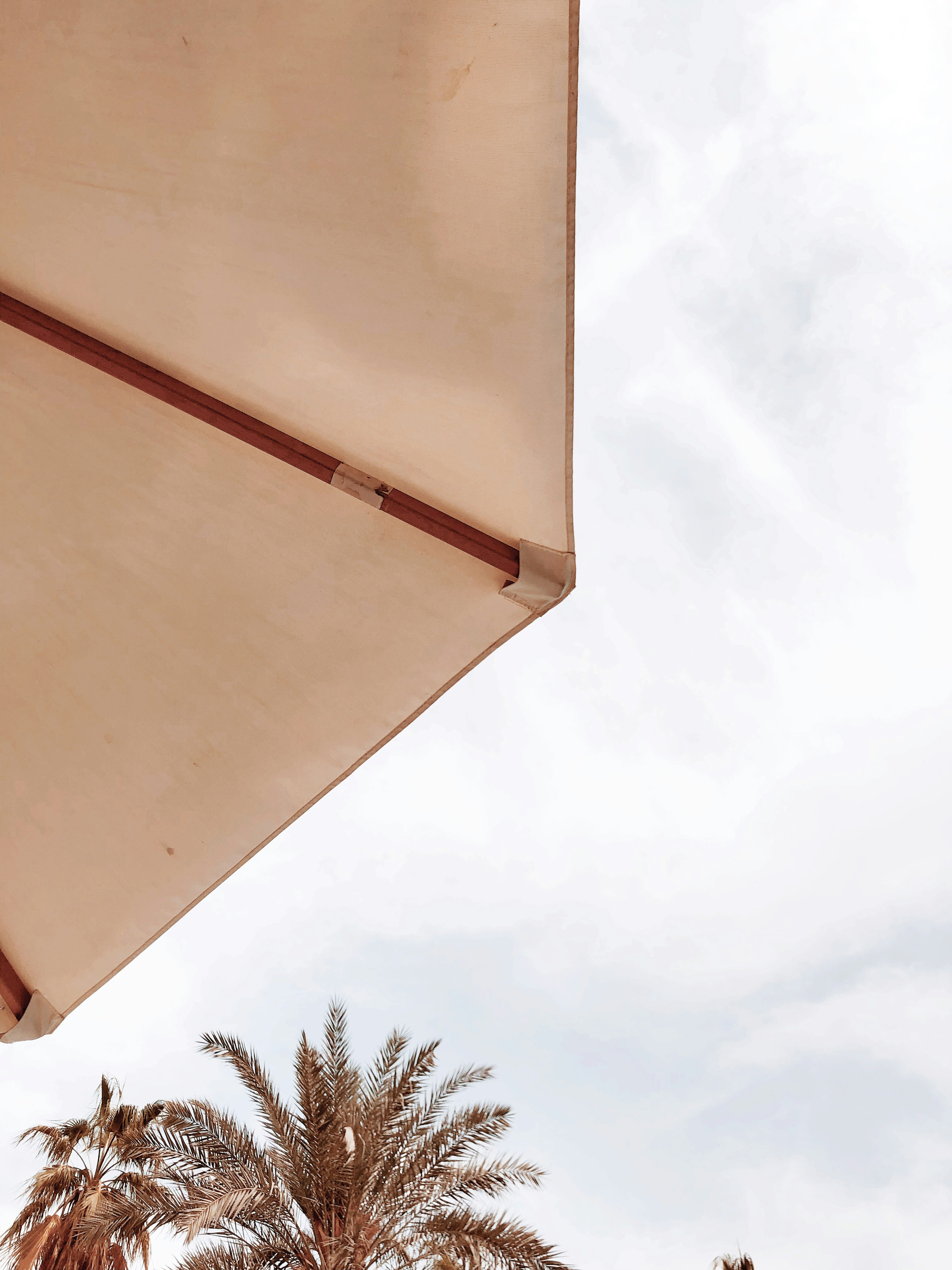 Photo by darylbydesign