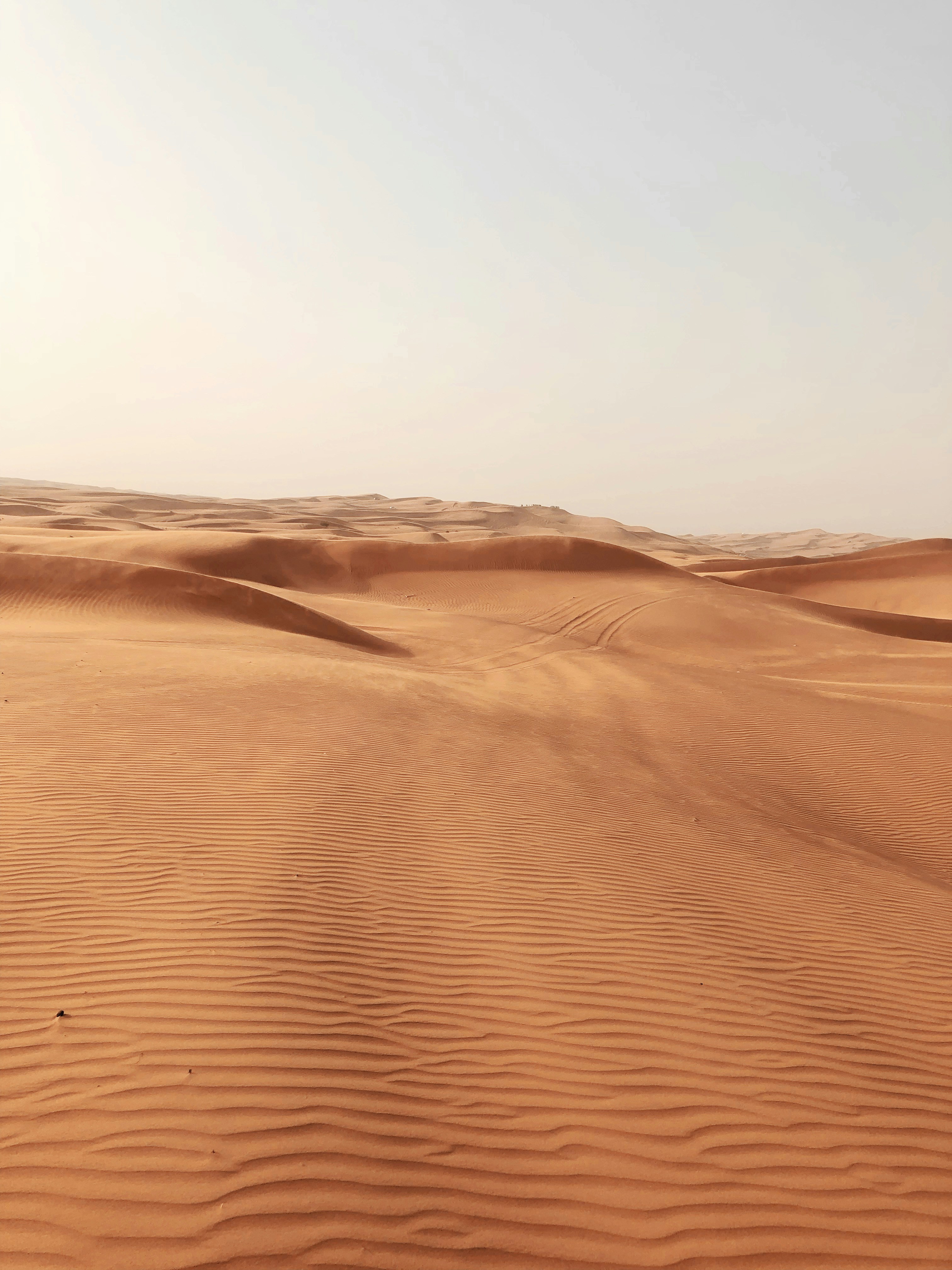 Photo by darylbydesign